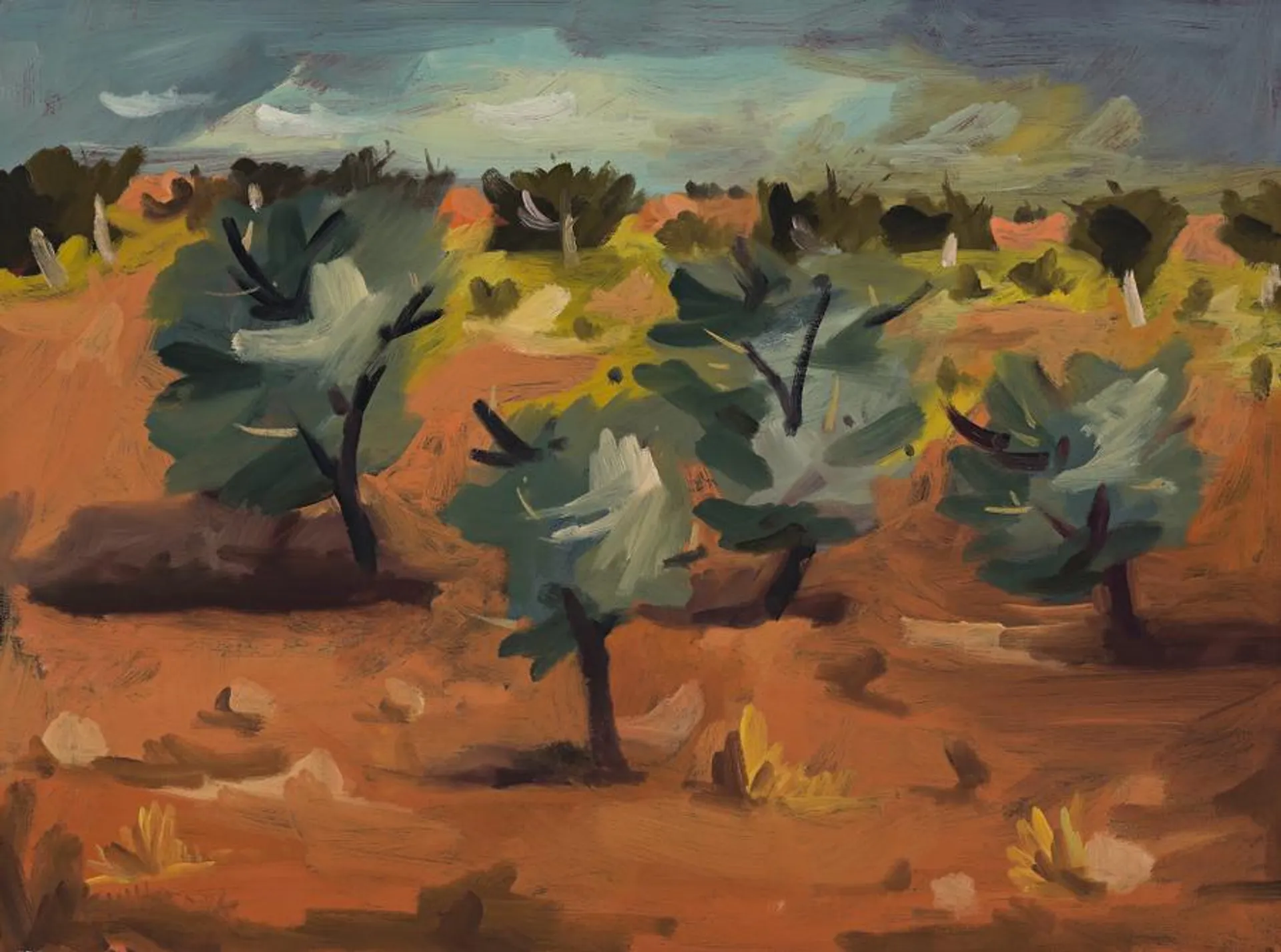 SUNDOWN NEAR WARRAWAGINE