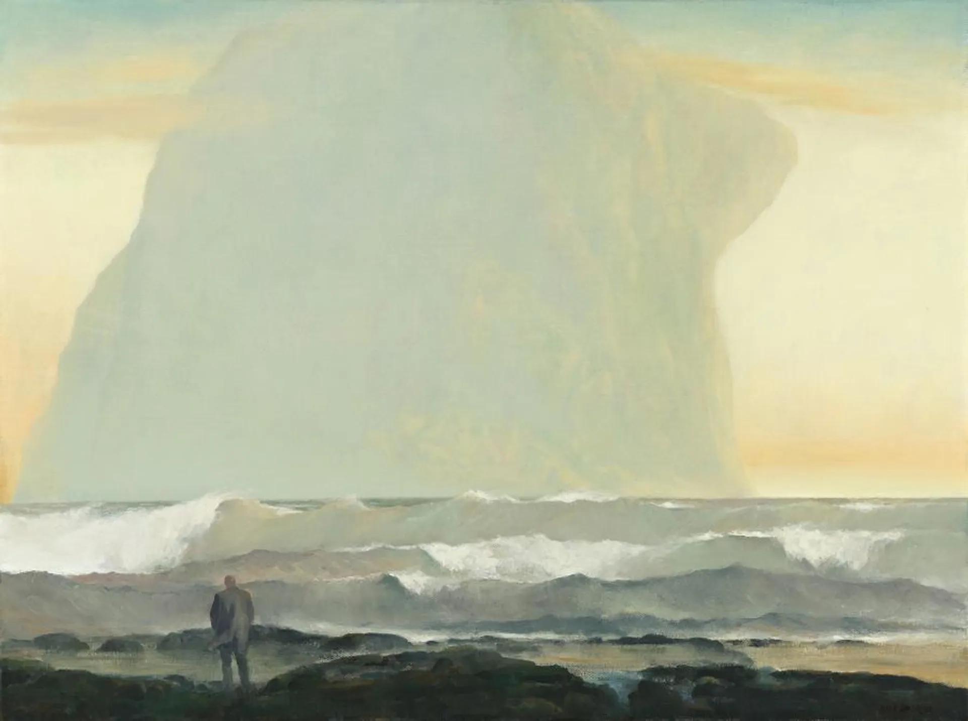 VISITOR BY THE SOUTHERN SEAS