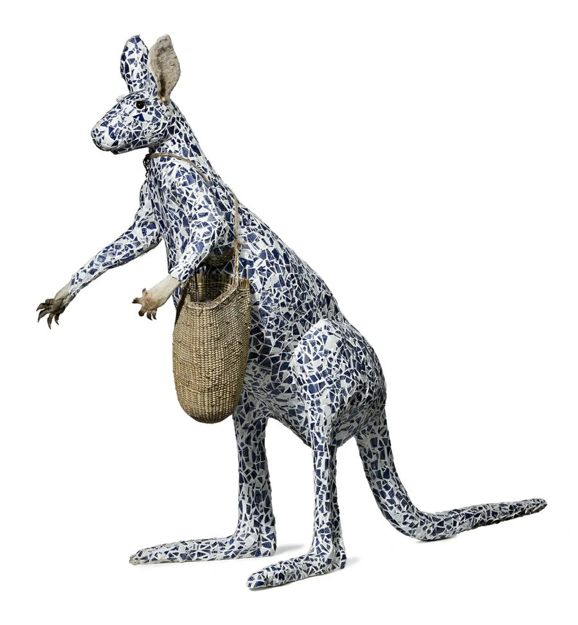 THE BLUE COLLECTOR