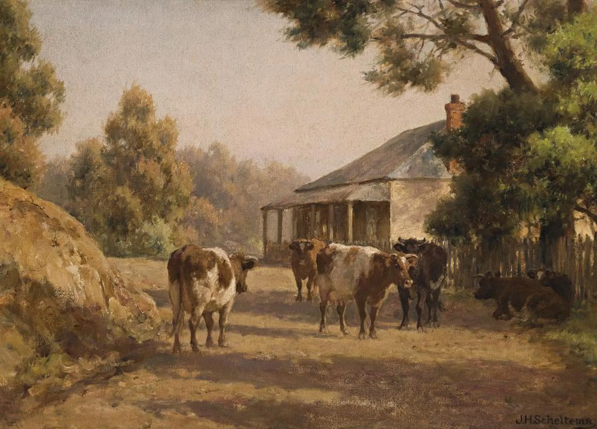 IN THE MORNING SUN, BLACKWOOD, VICTORIA