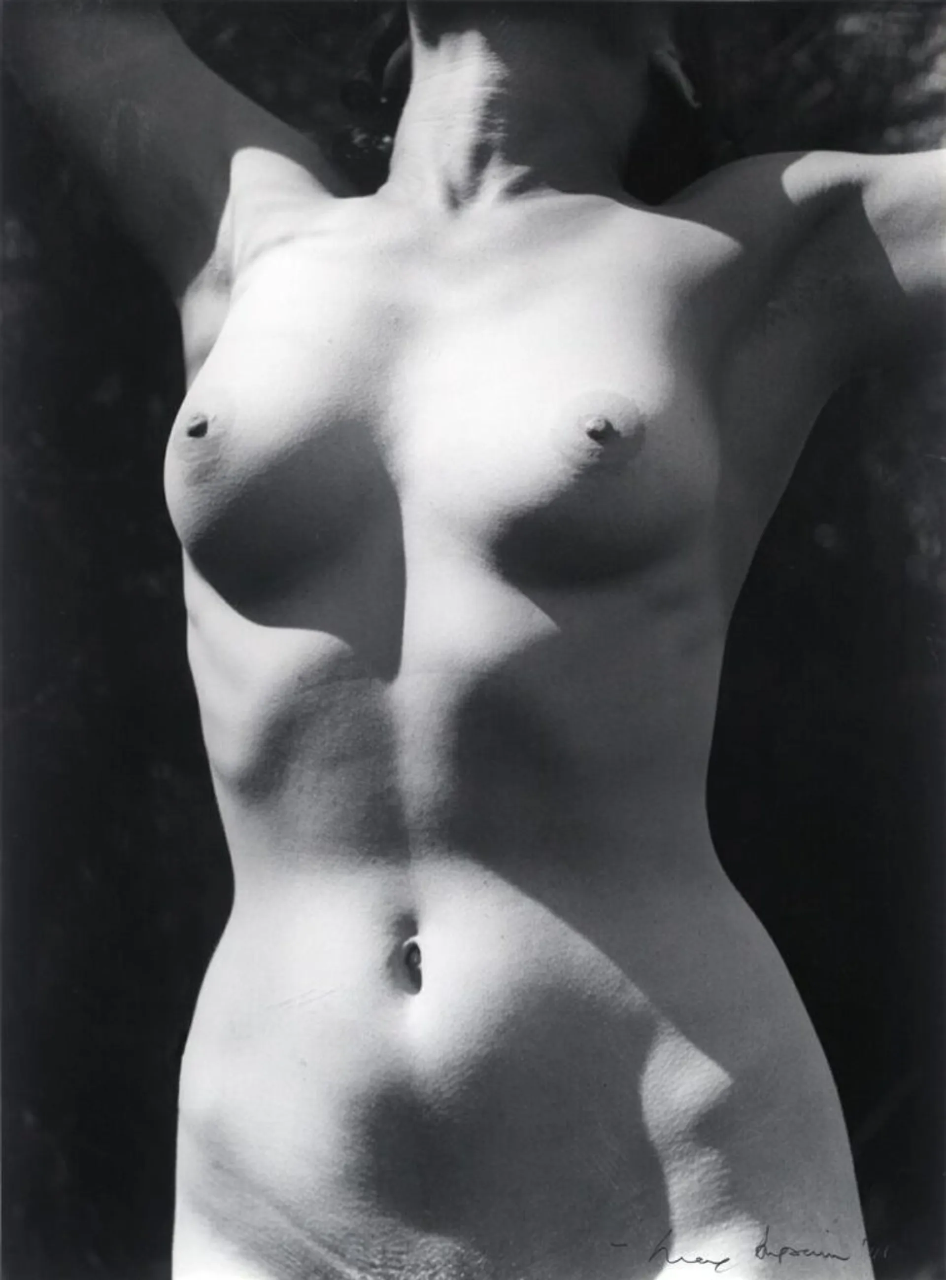TORSO IN SUNLIGHT II
