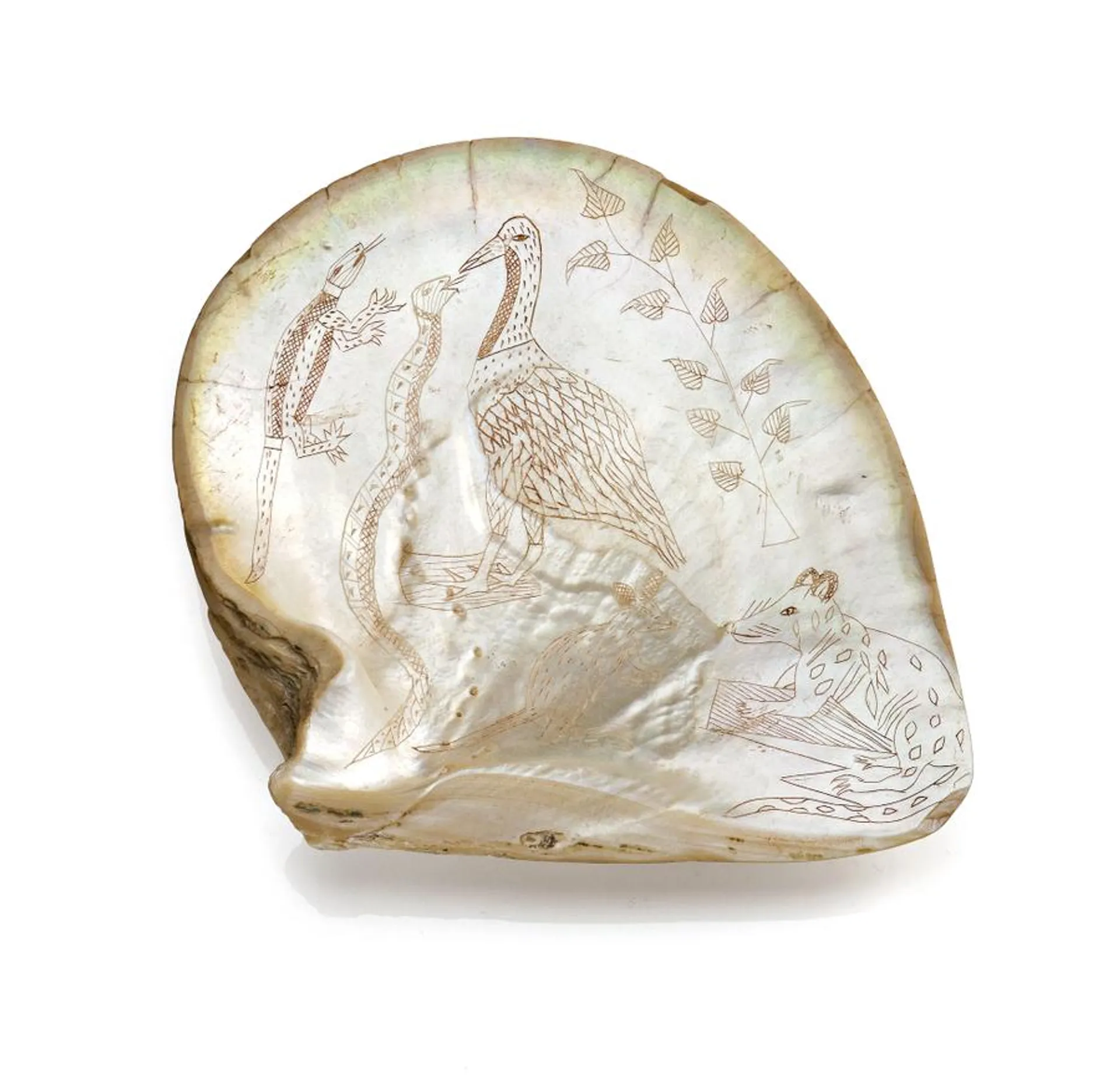 AN ENGRAVED PEARL SHELL