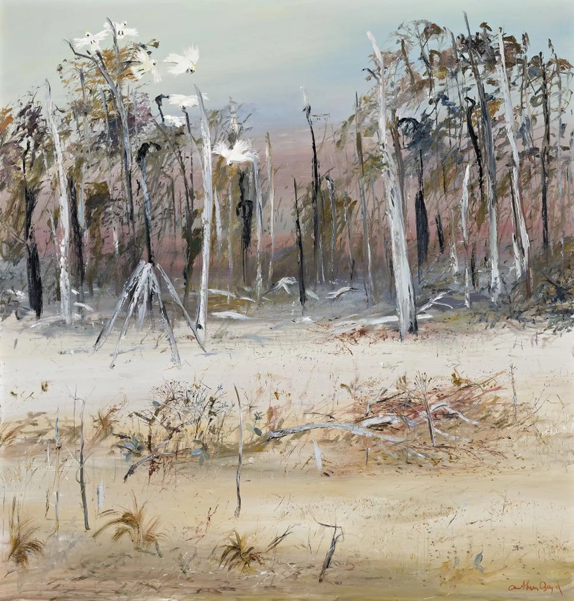 COCKATOOS IN WIMMERA LANDSCAPE