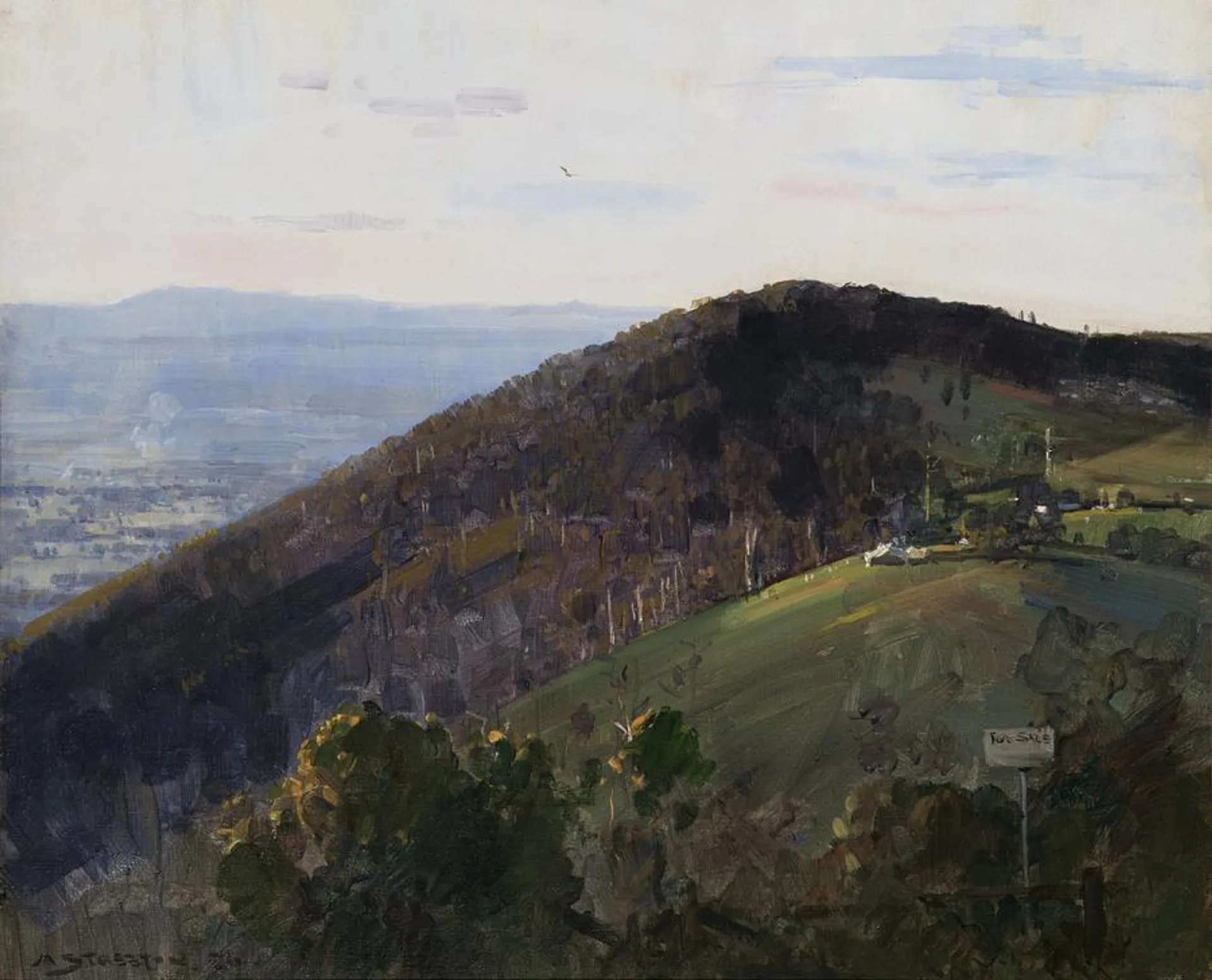 DANDENONGS LANDSCAPE