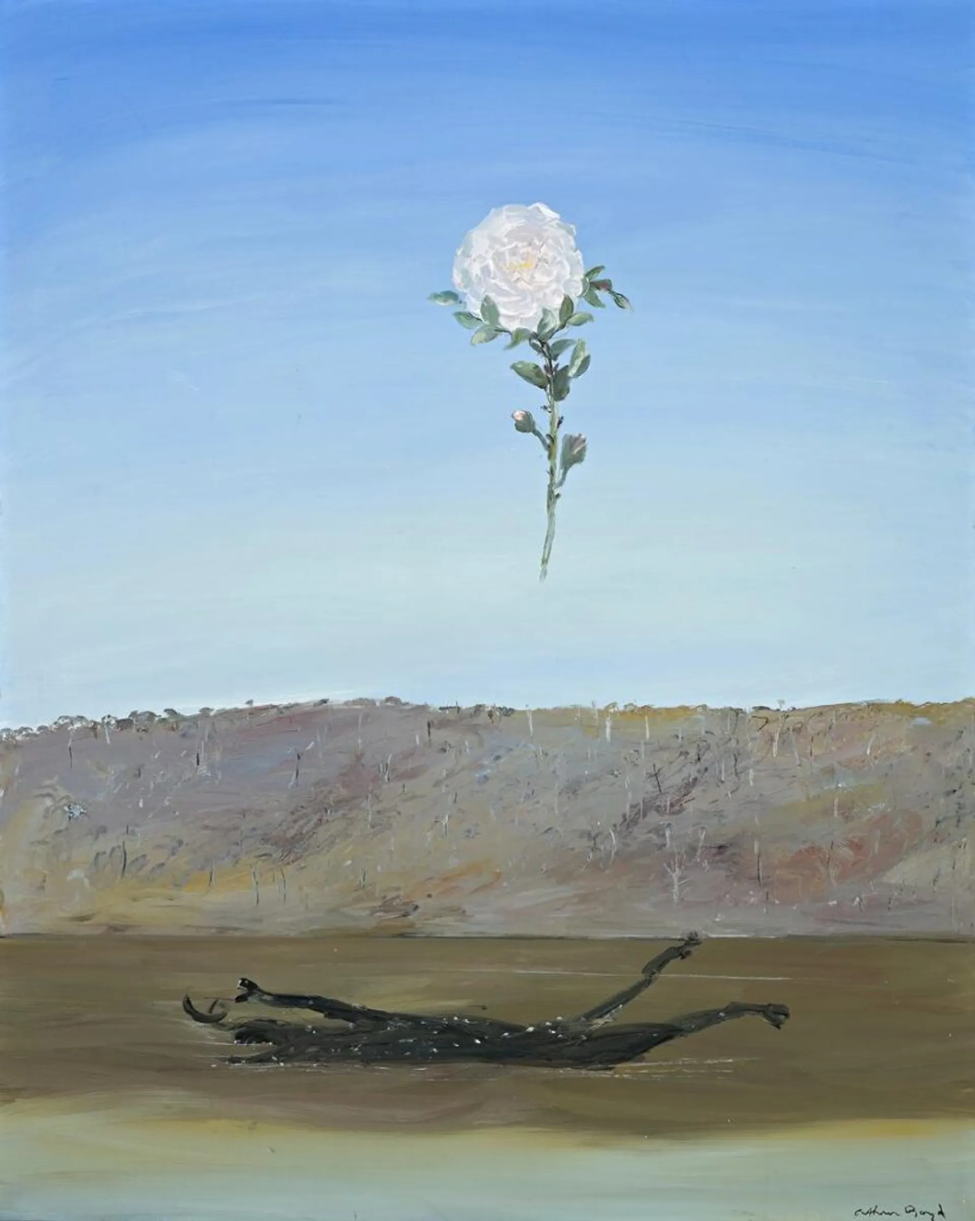 RIVER IN FLOOD WITH CARCASS AND ROSE