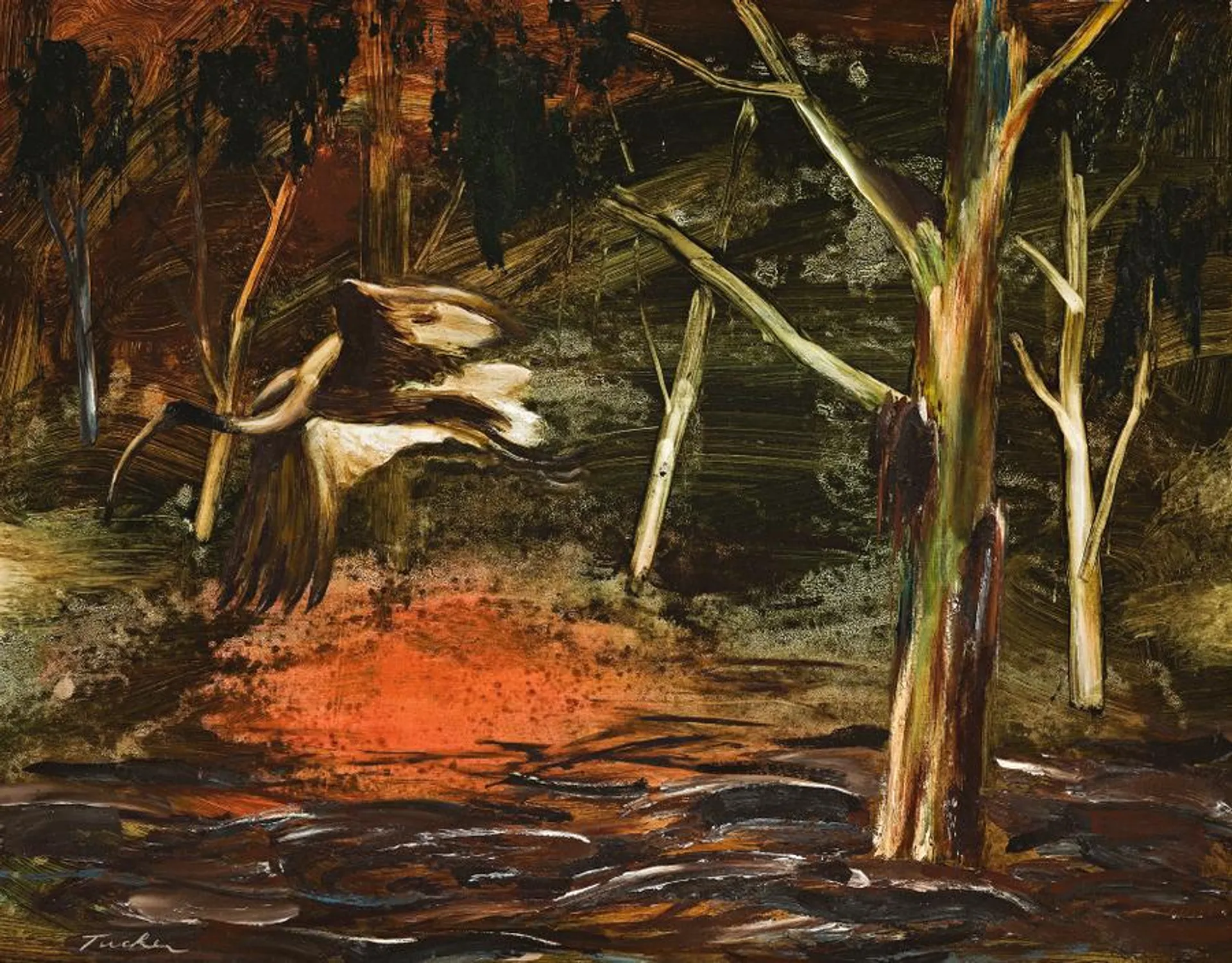 IBIS IN THE BUSH