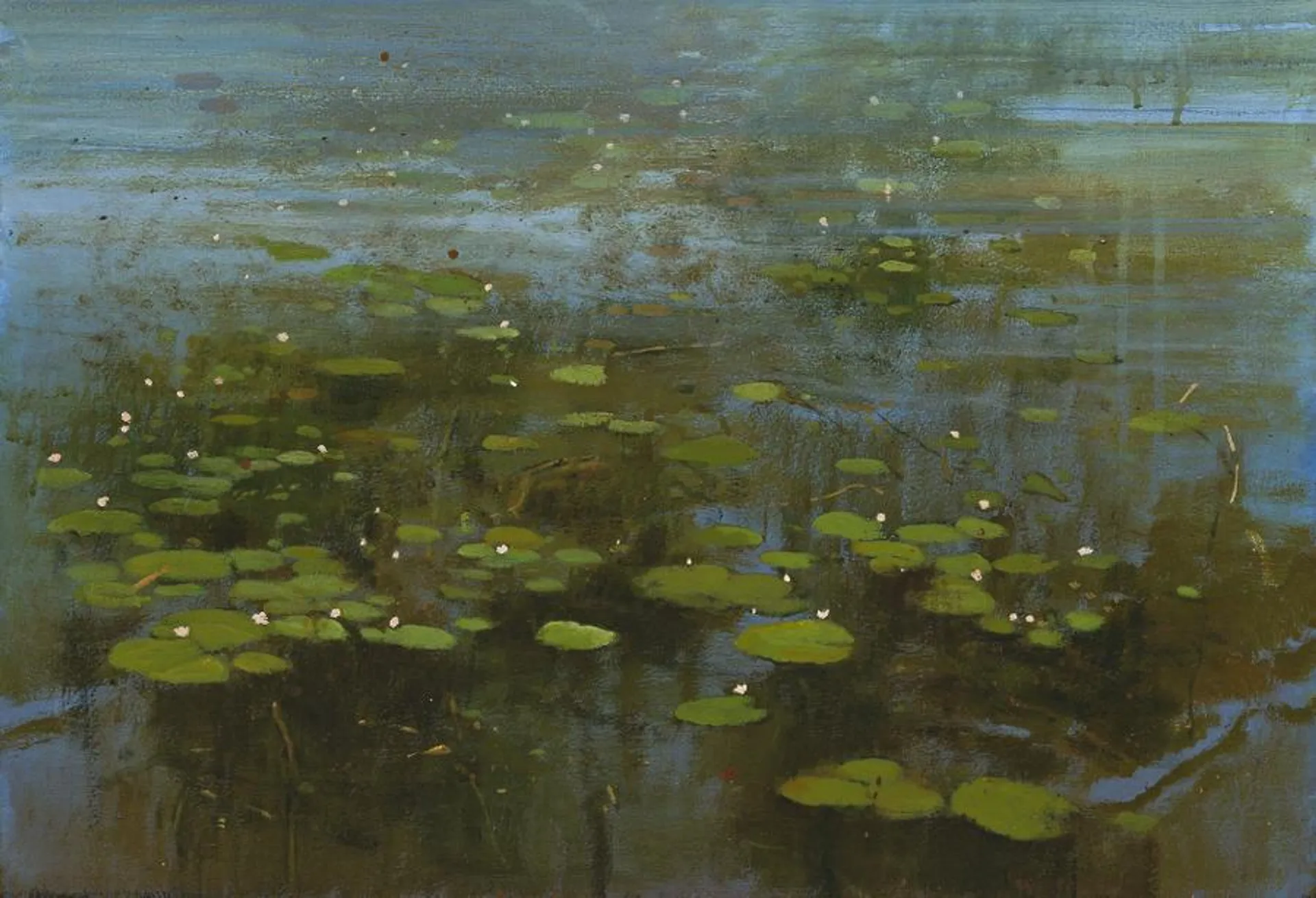 WATER LILIES