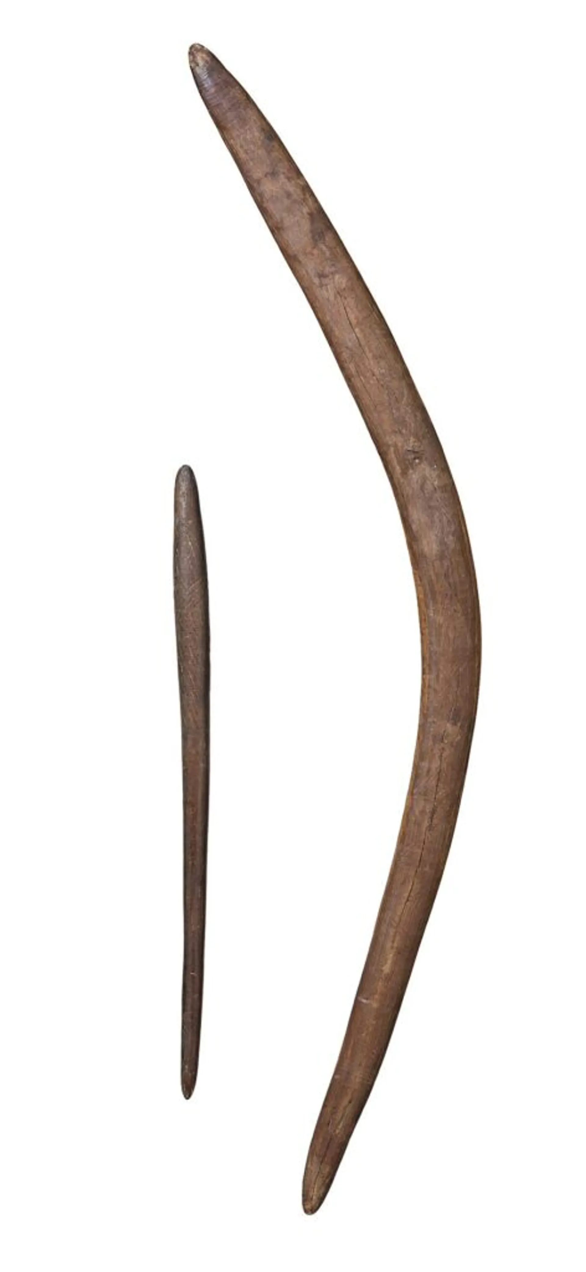 A BOOMERANG CLUB AND A BULBOUS-HEADED CLUB
