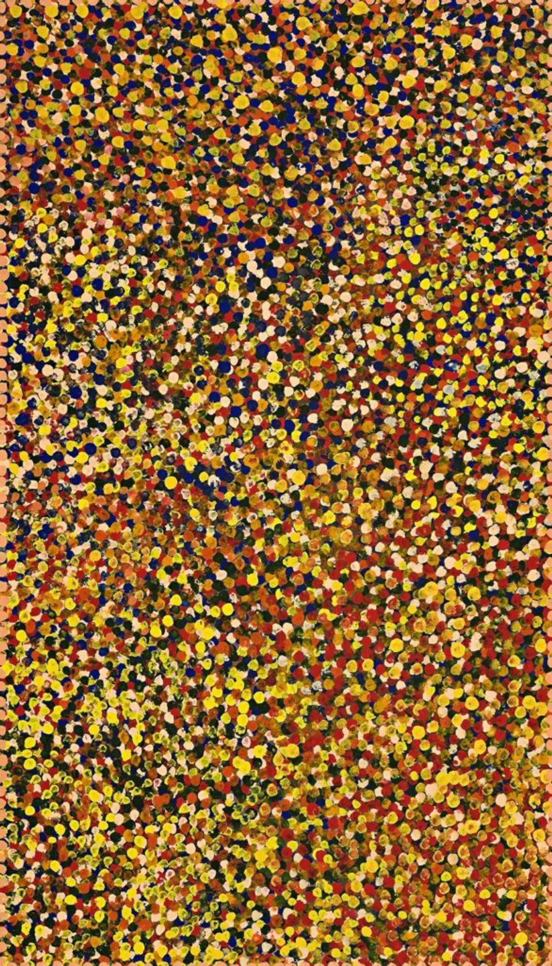 A CARPETED DESERT