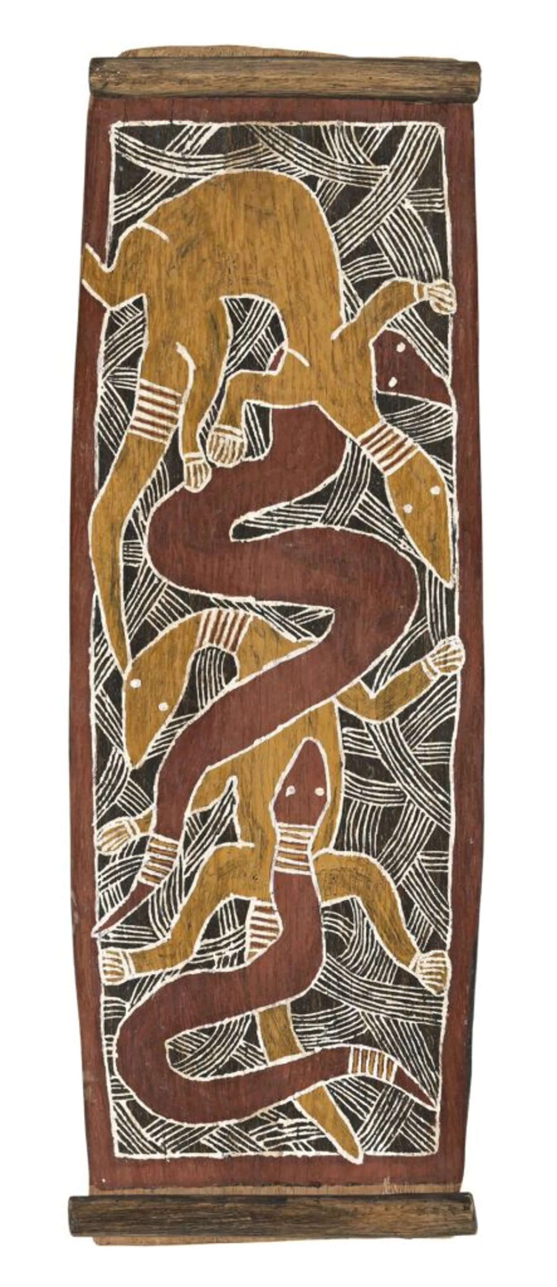 TWO GOANNAS AND TWO SNAKES