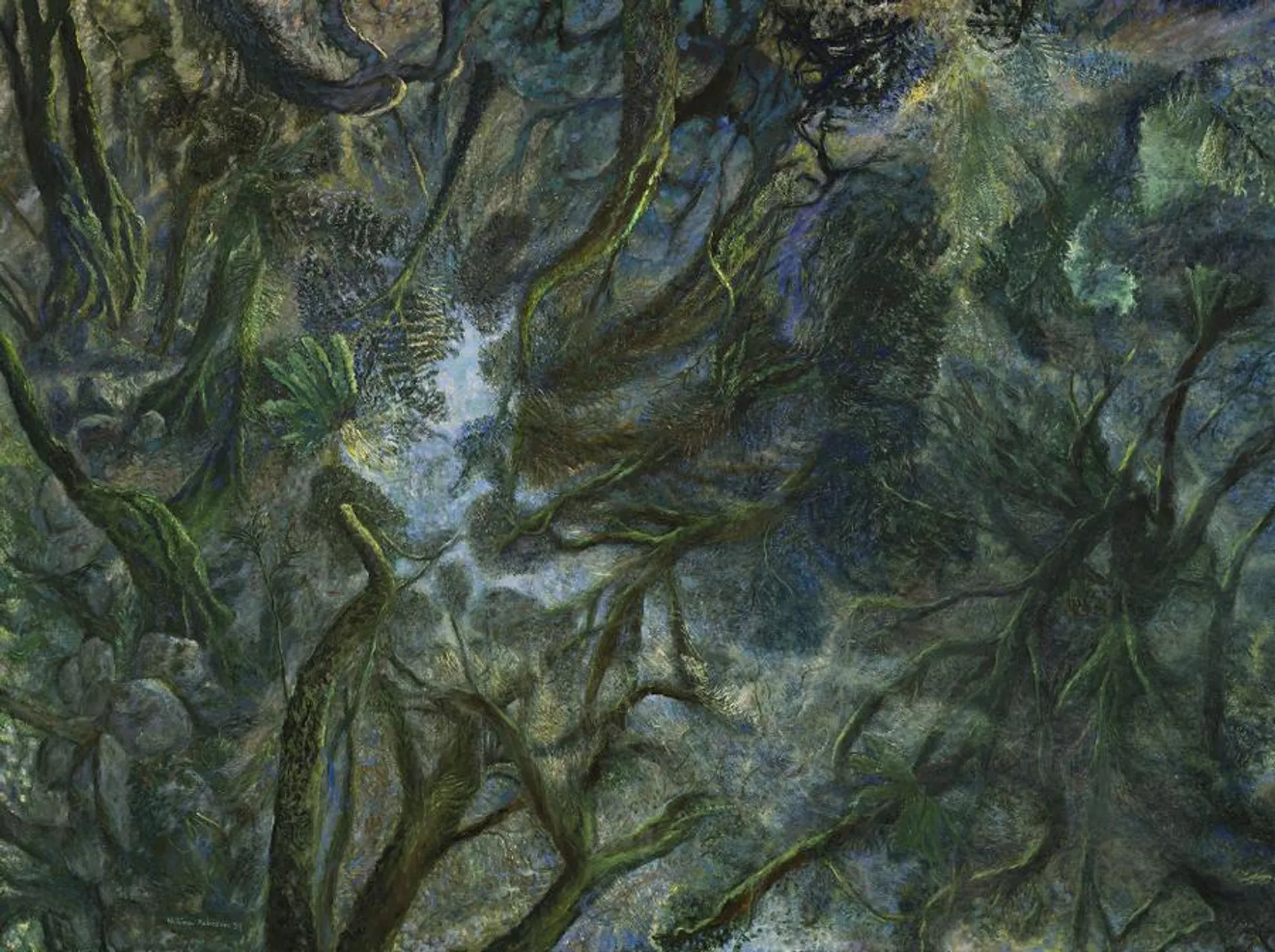 RAINFOREST WITH FILTERING SUNLIGHT