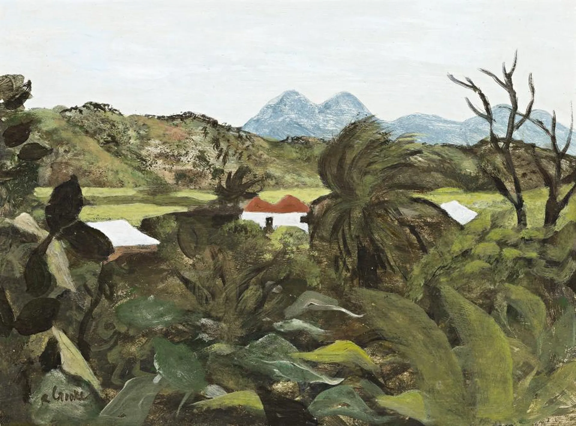 TROPICAL LANDSCAPE, CAIRNS