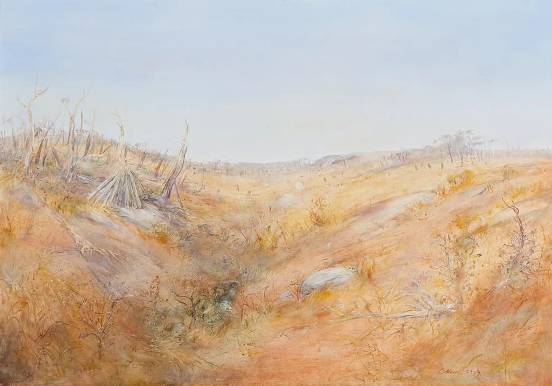 WIMMERA LANDSCAPE