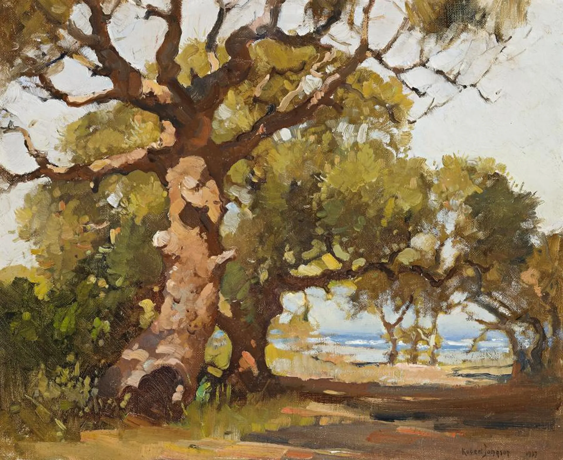 GUM TREE AT PALM BEACH