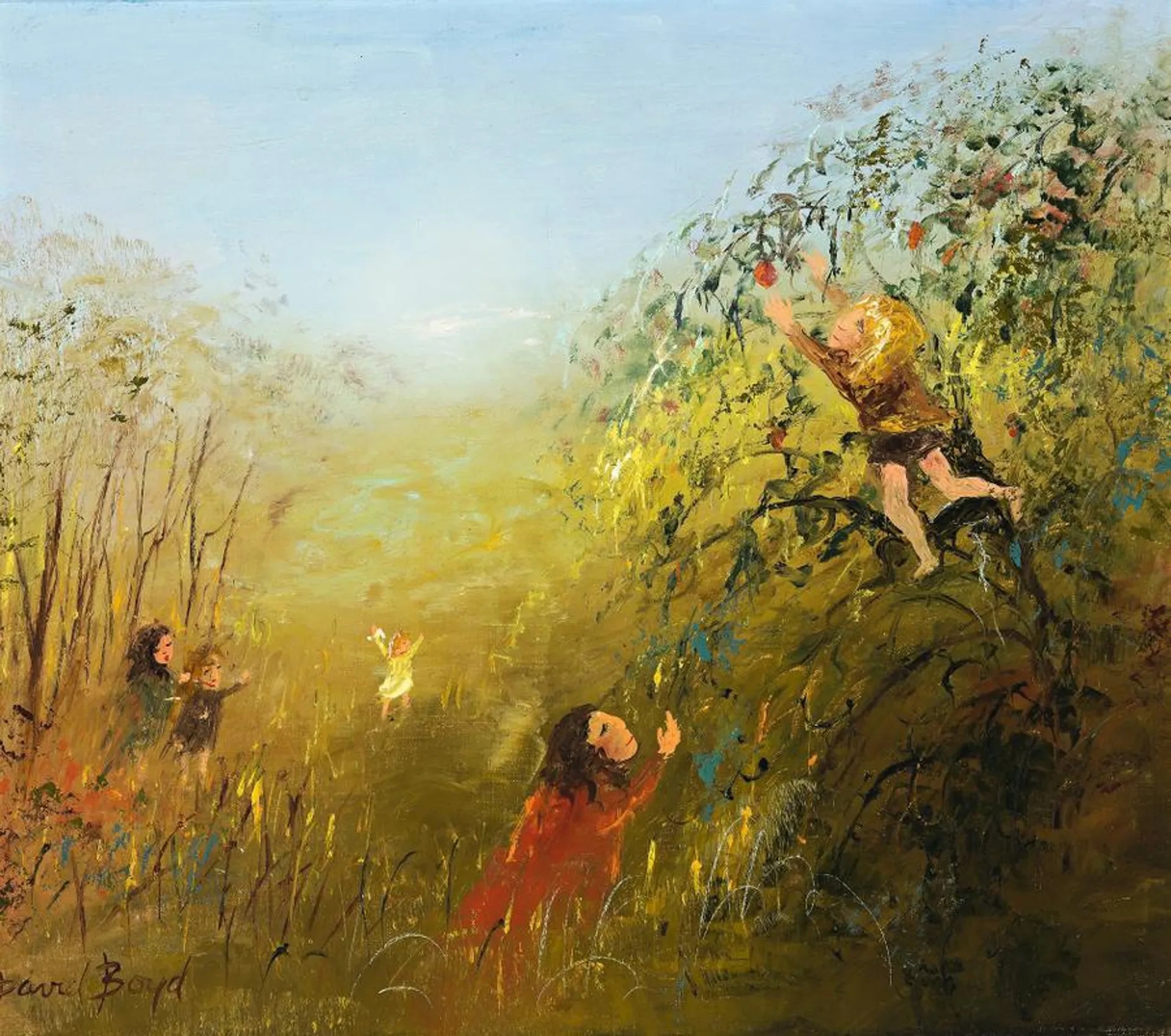 BOY IN THE APPLE TREE
