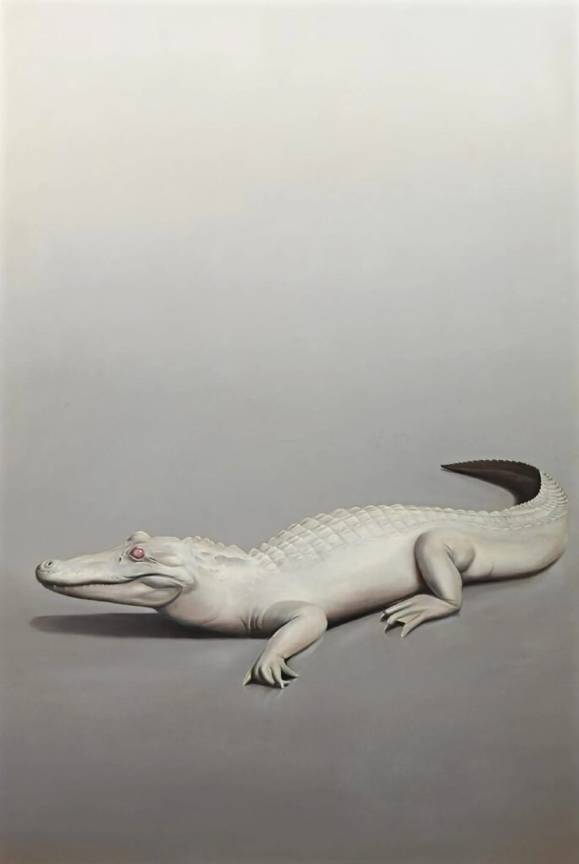 ALBINO MODUS PONENS AND LOWERS