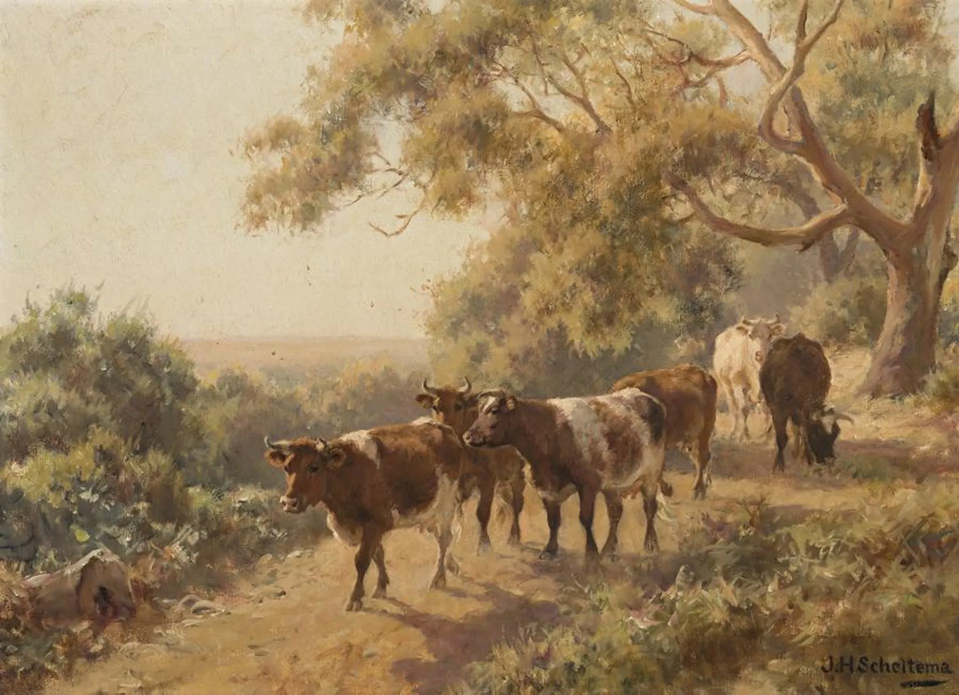 SIX ROAN COWS ON A BUSH TRACK