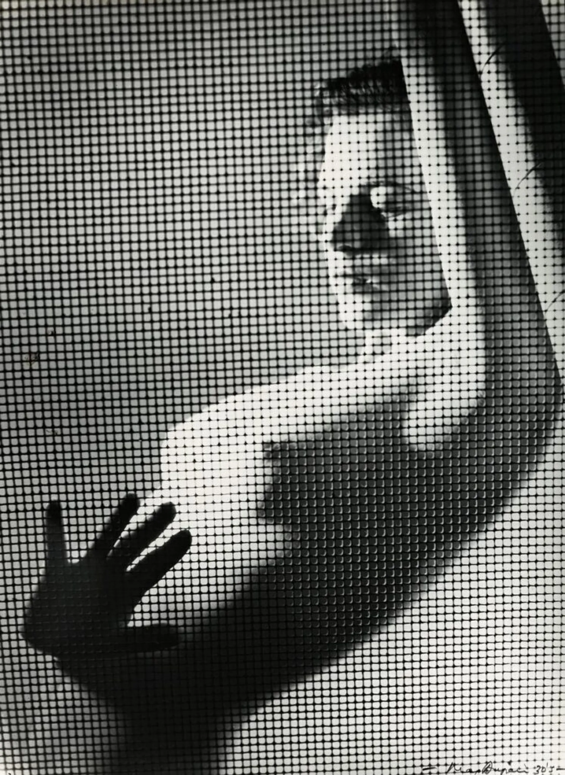 NUDE BEHIND MESH
