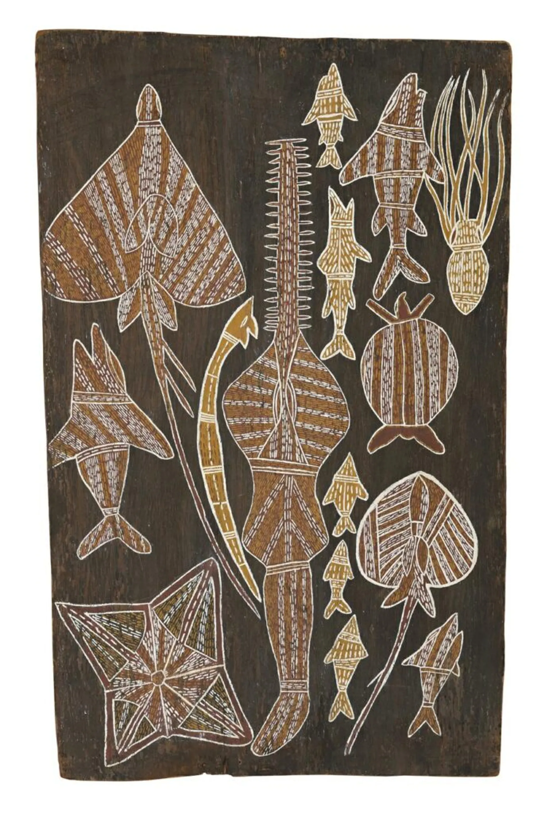 MARITIME CREATURES