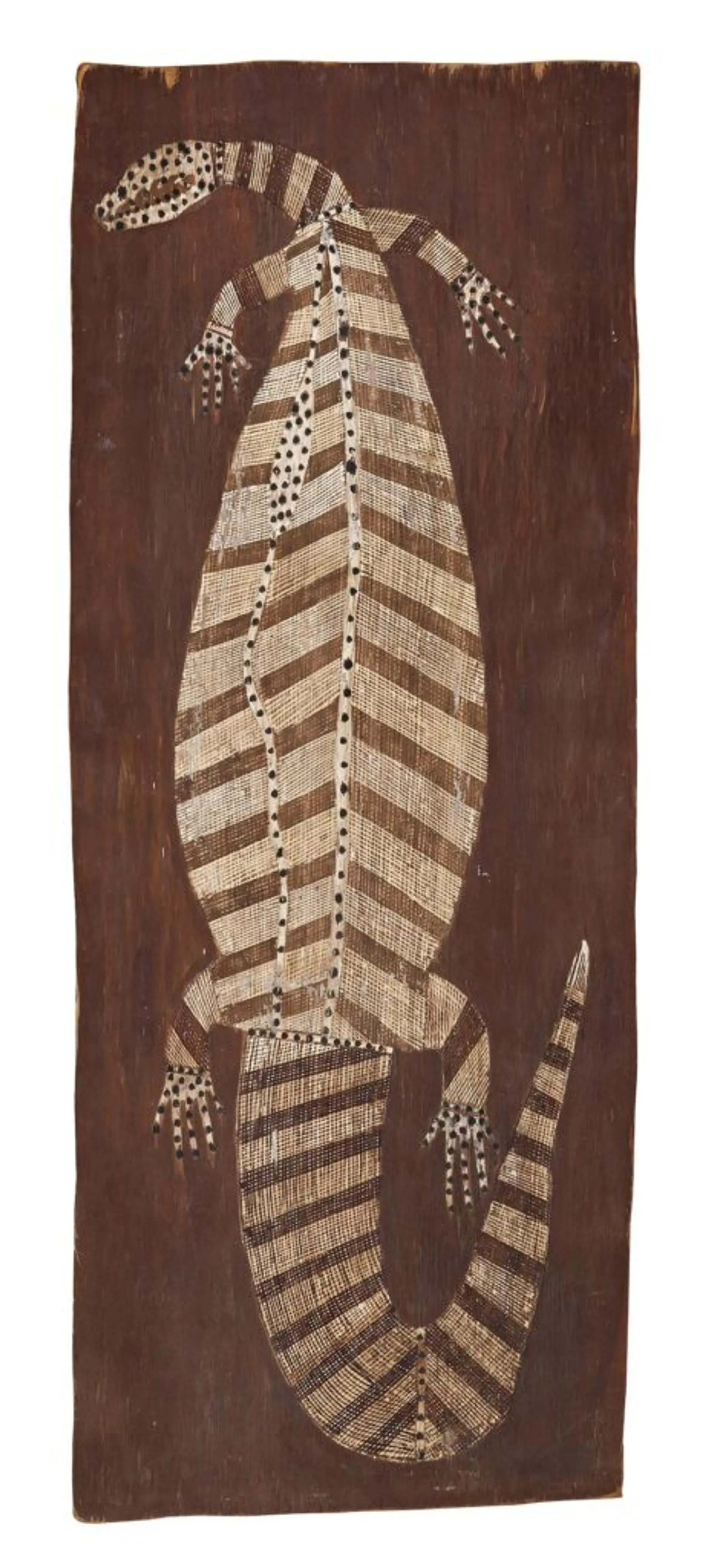 NGU-ULK-MUN (THE JOHNSTONE’S RIVER CROCODILE)