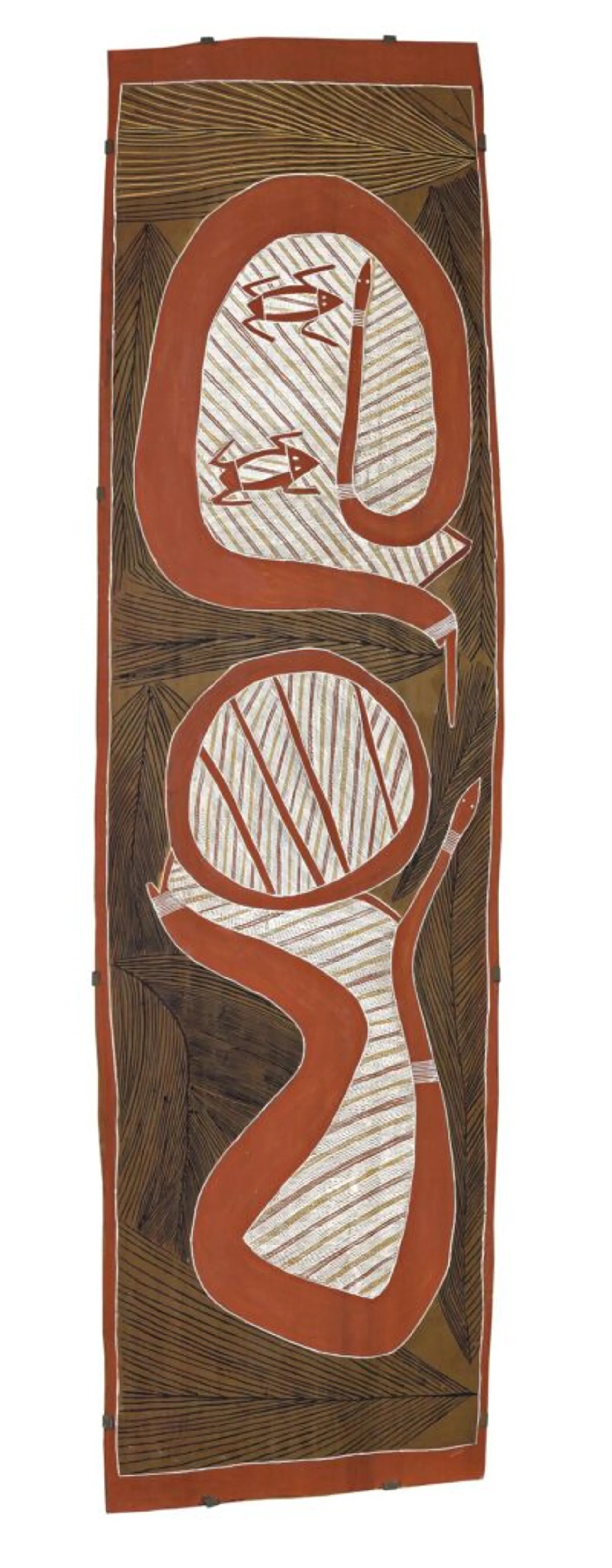 WITITJ GA GARRKMAN – OLIVE PYTHON AND FROGS