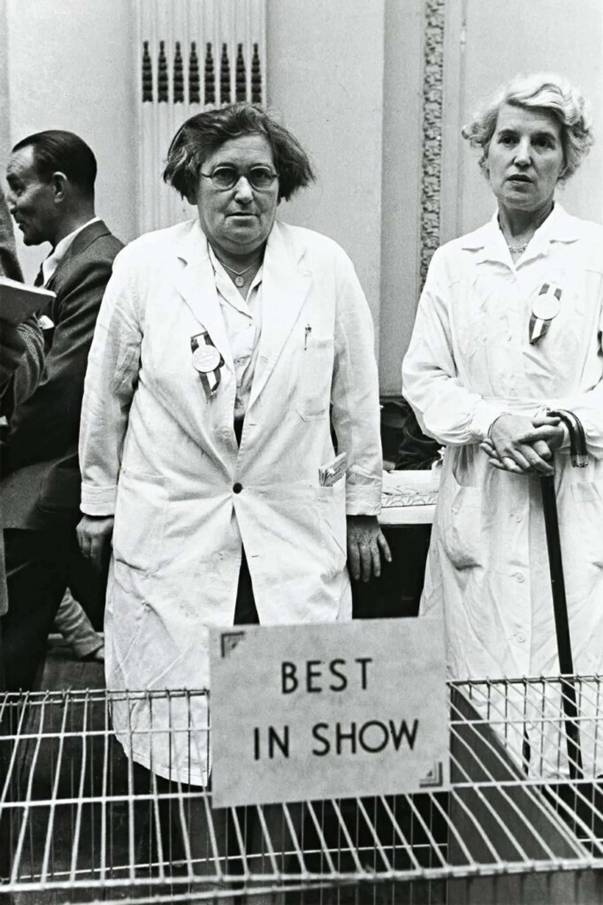 BEST IN SHOW, 1953 printed