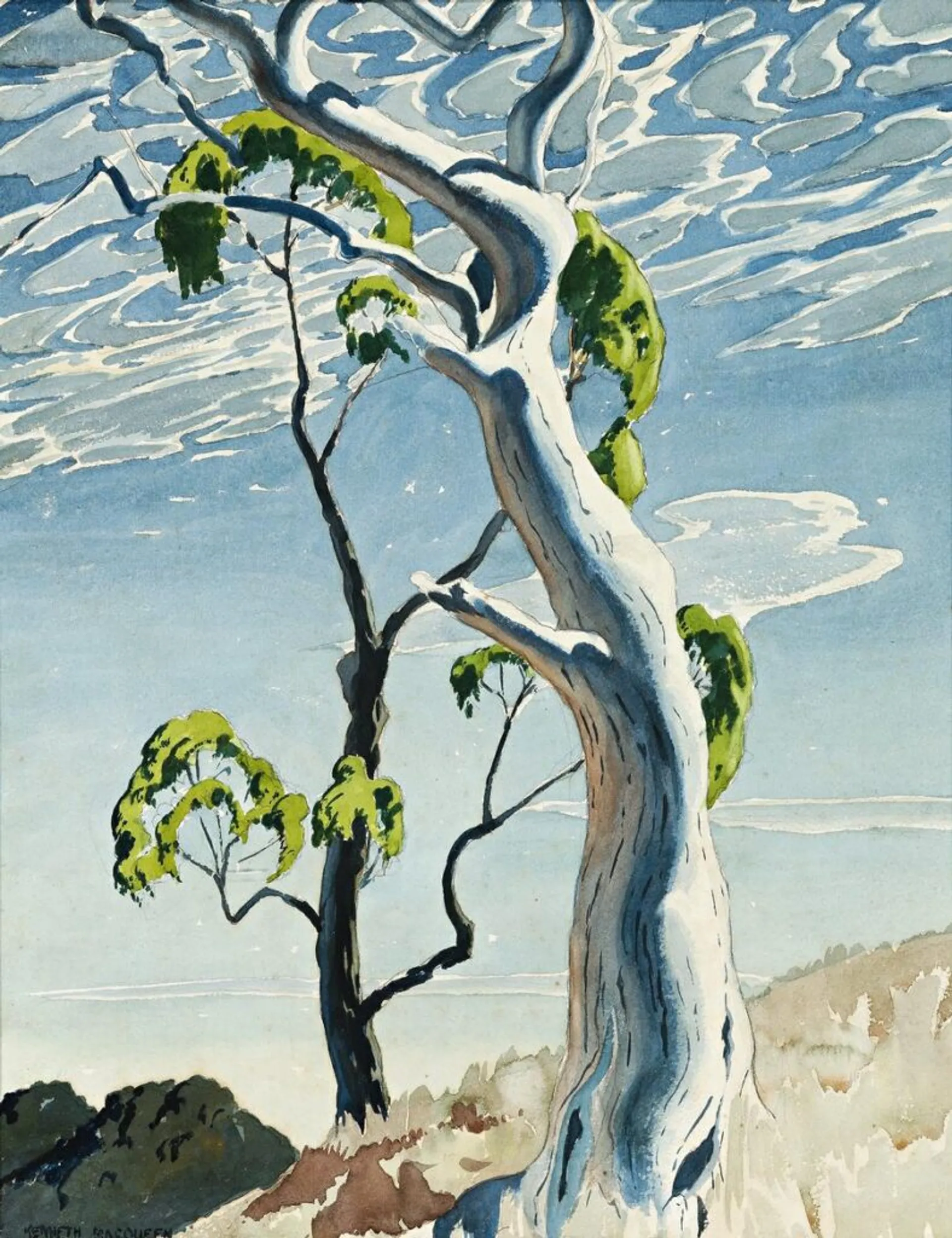 THE WHITE GUM TREE