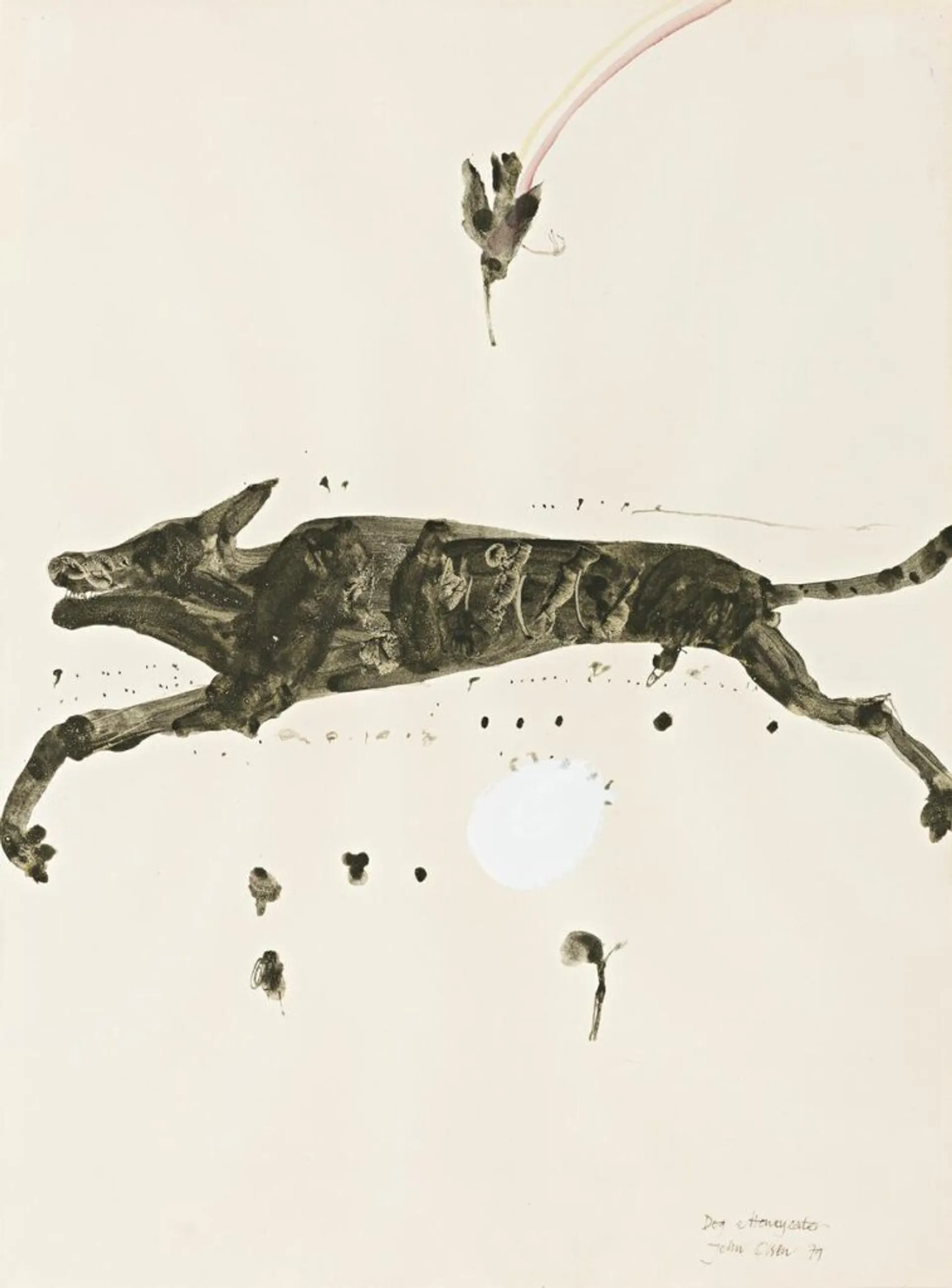DOG AND HONEYEATER