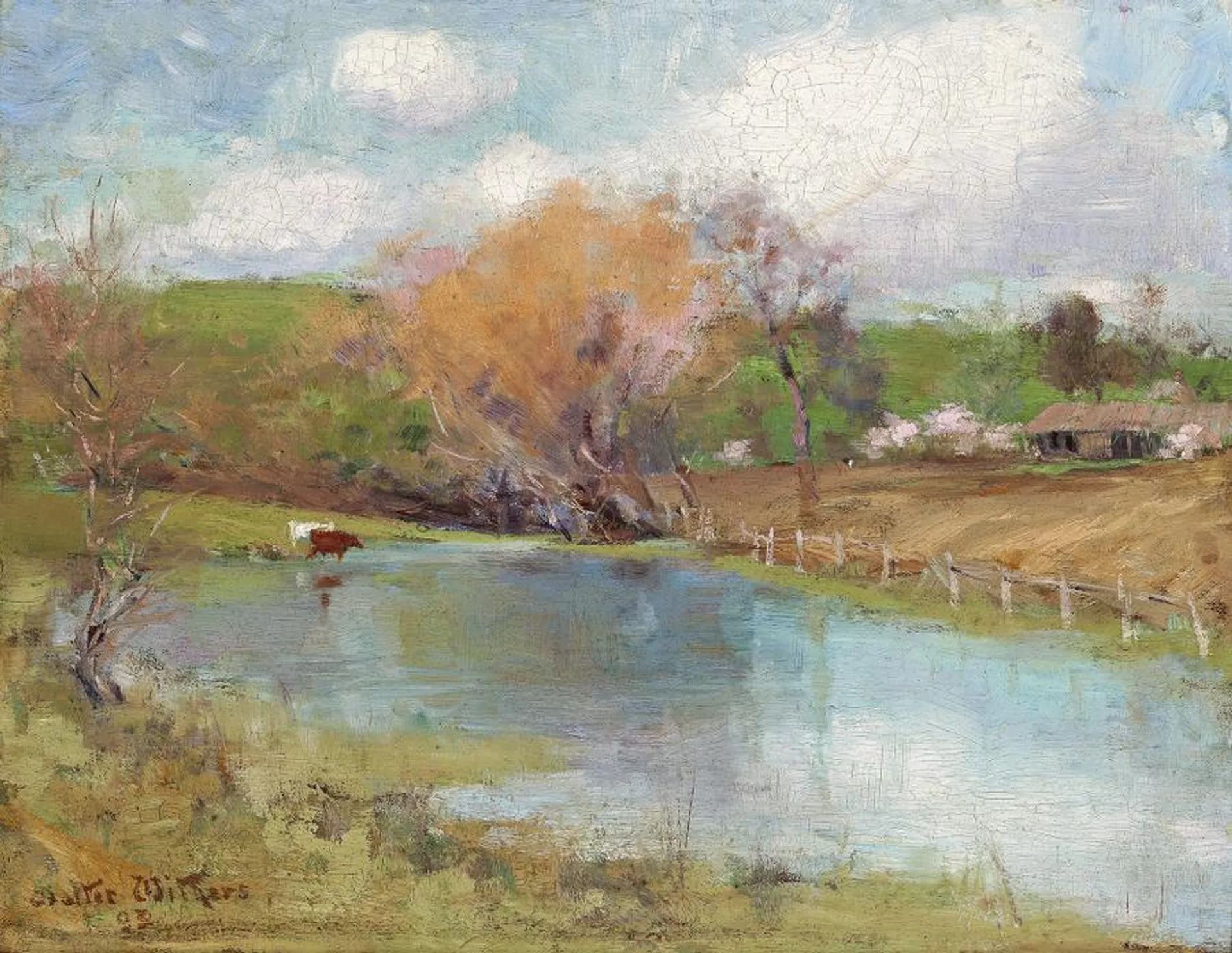 SPRING LANDSCAPE