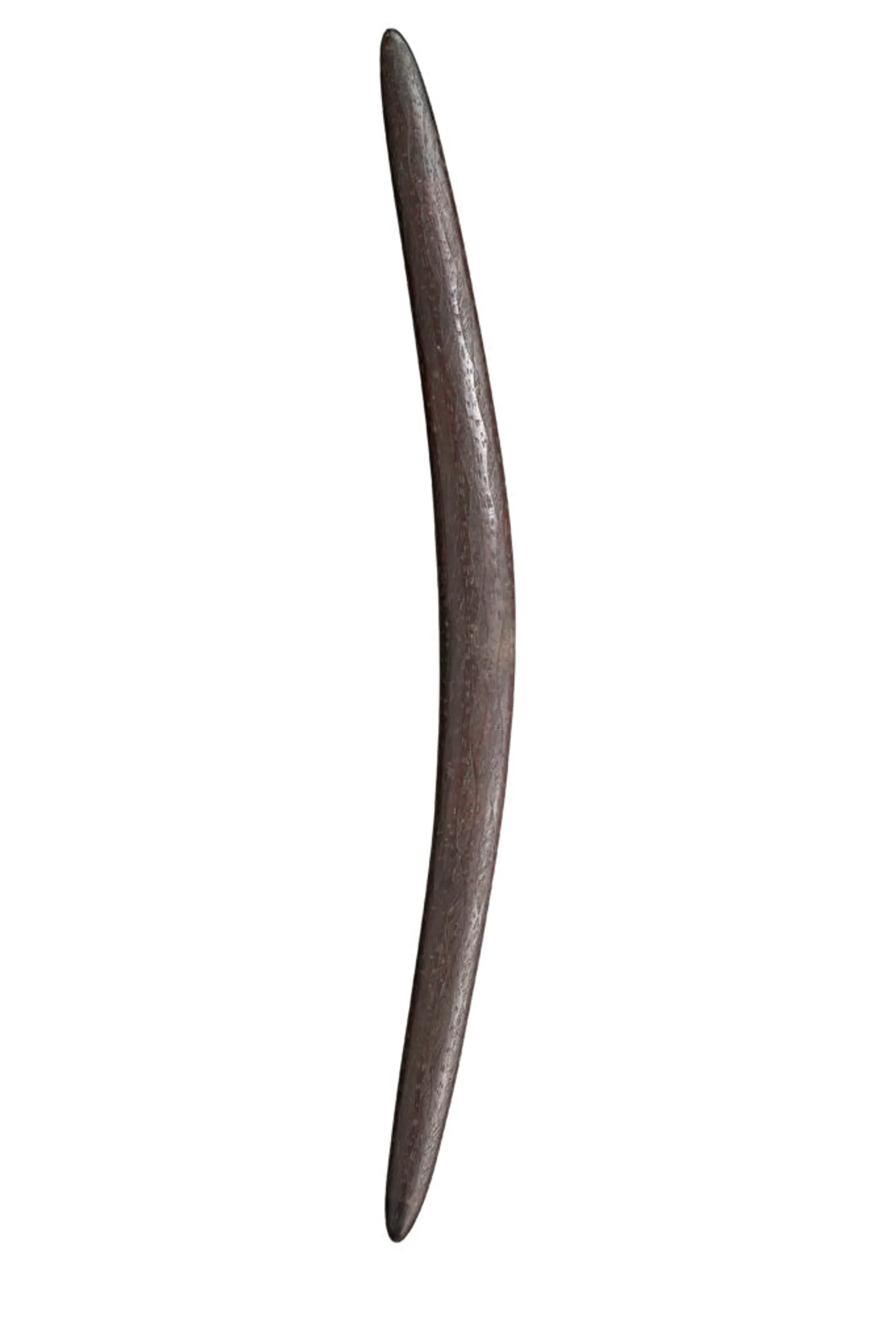 A BOOMERANG CLUB, SOUTH AUSTRALIA