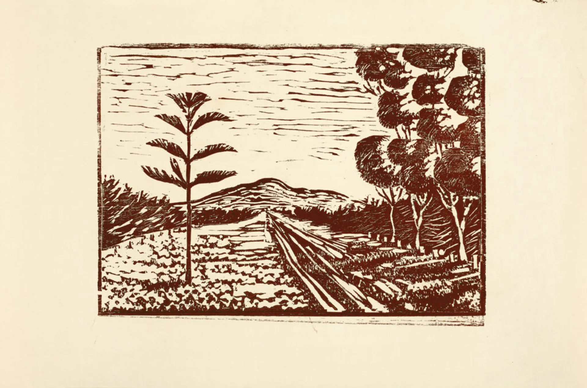 CORIO, ROAD TO THE YOU YANGS