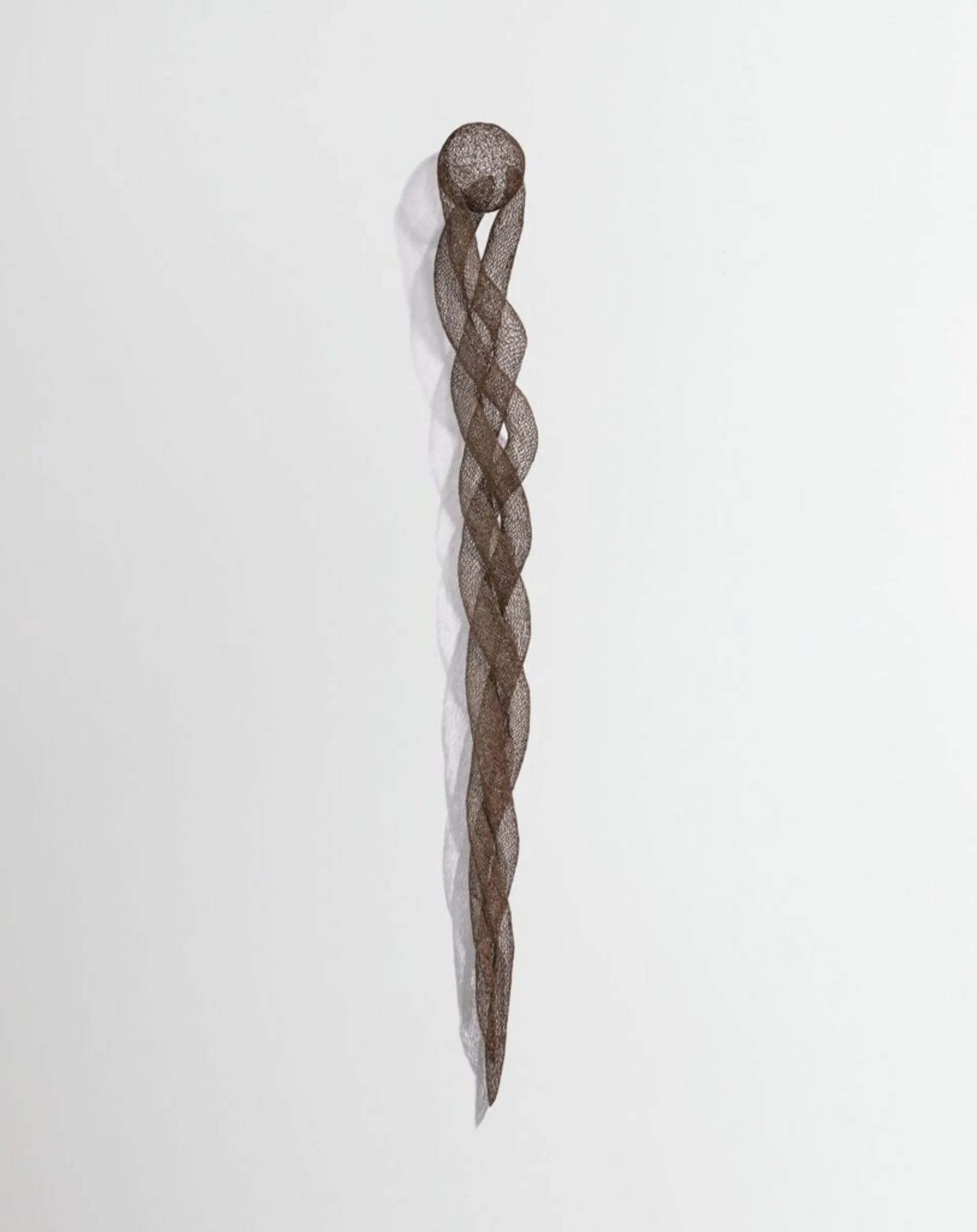 CLASP