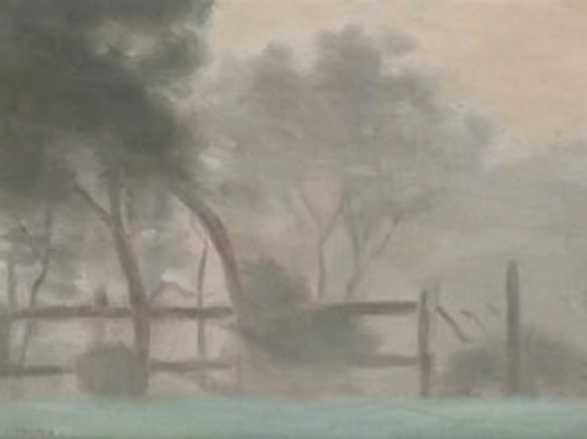 WINTER MORNING