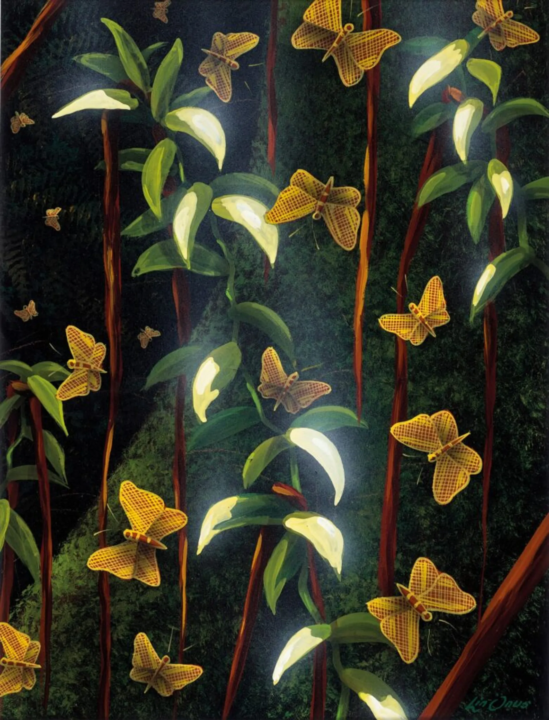 BIRRAKALA (BUTTERFLIES) AT NIGHT