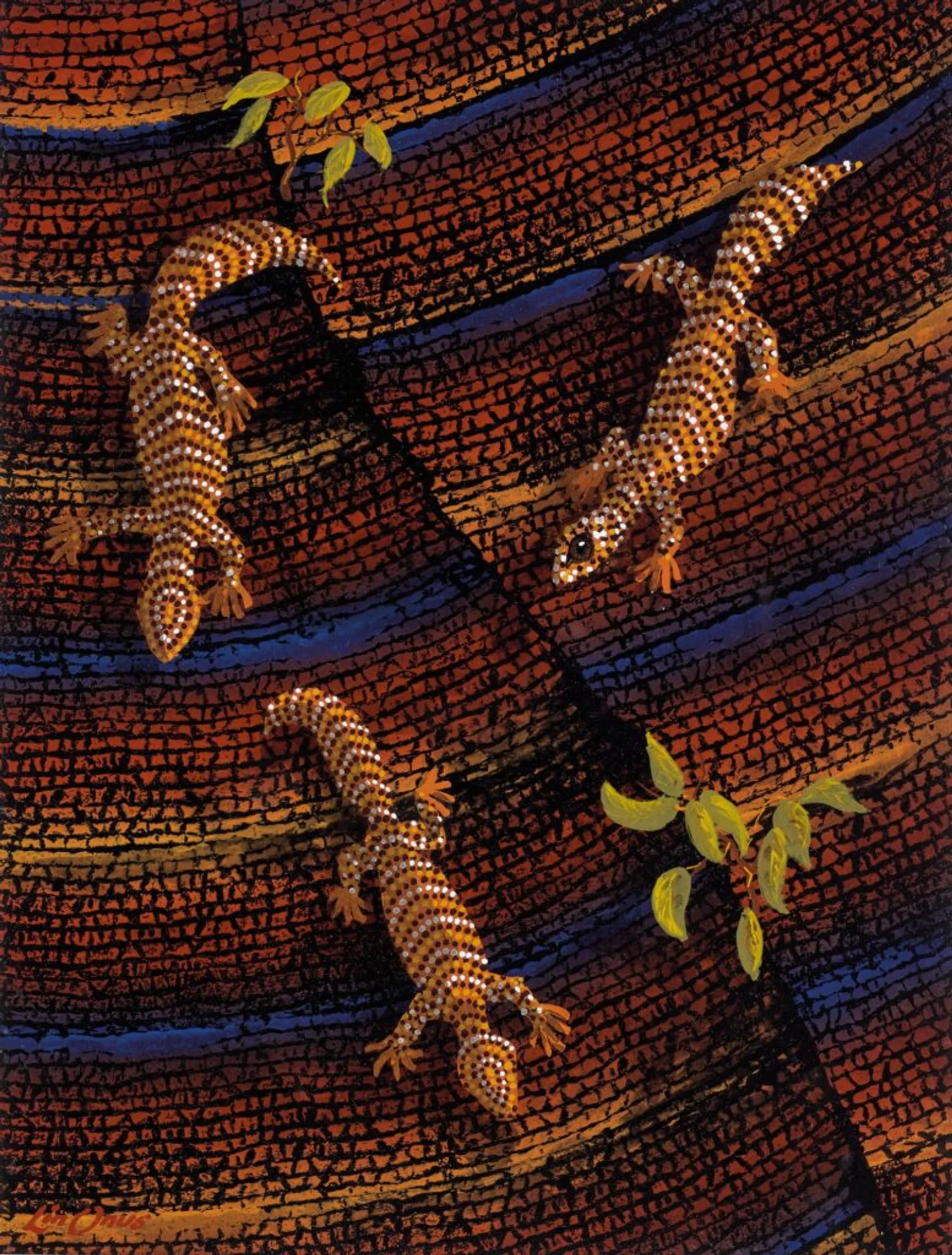 NGAKAYDJIL (LIZARDS)