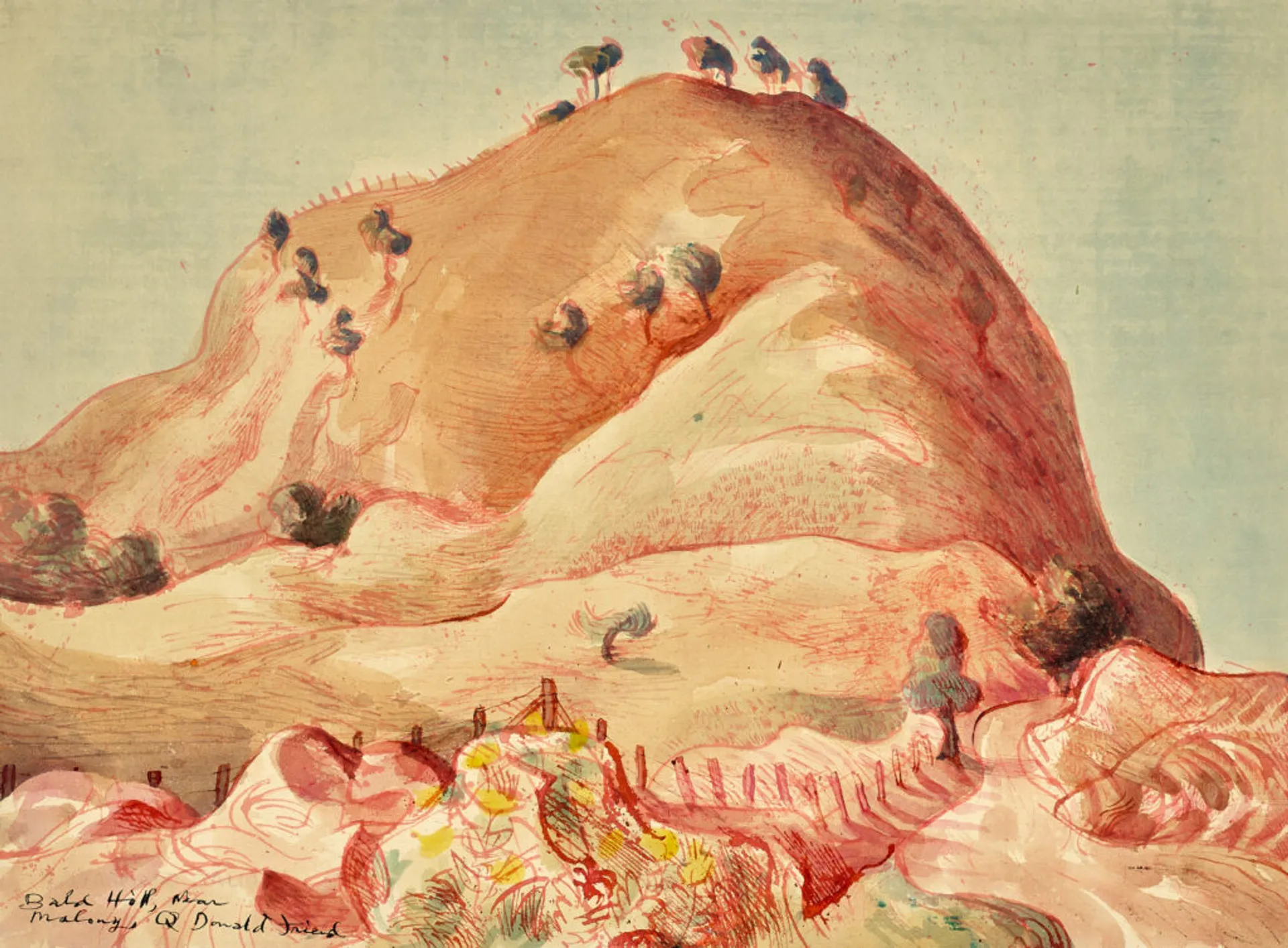 Bald Hill near Maleny, Queensland