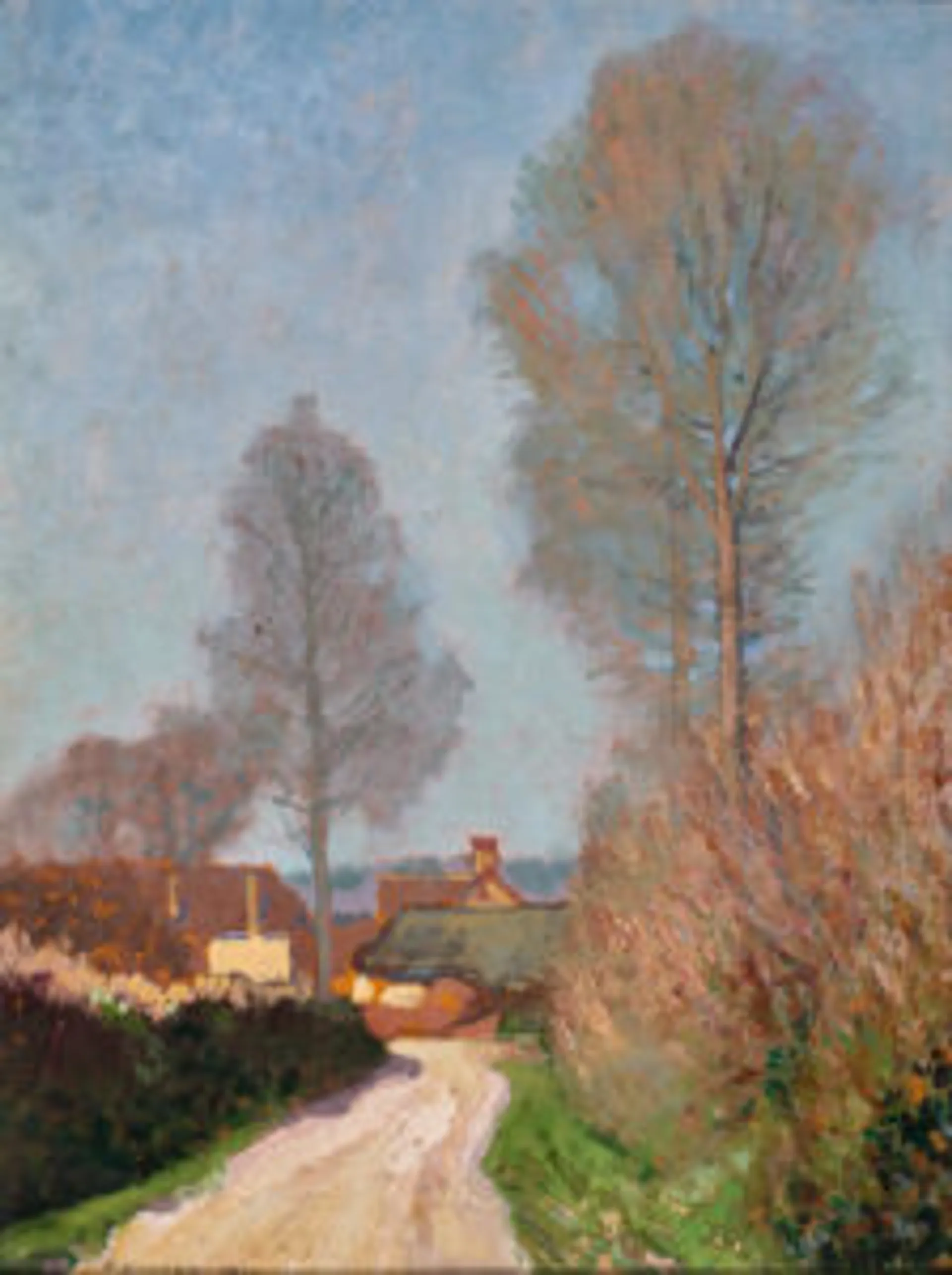 A Devon lane