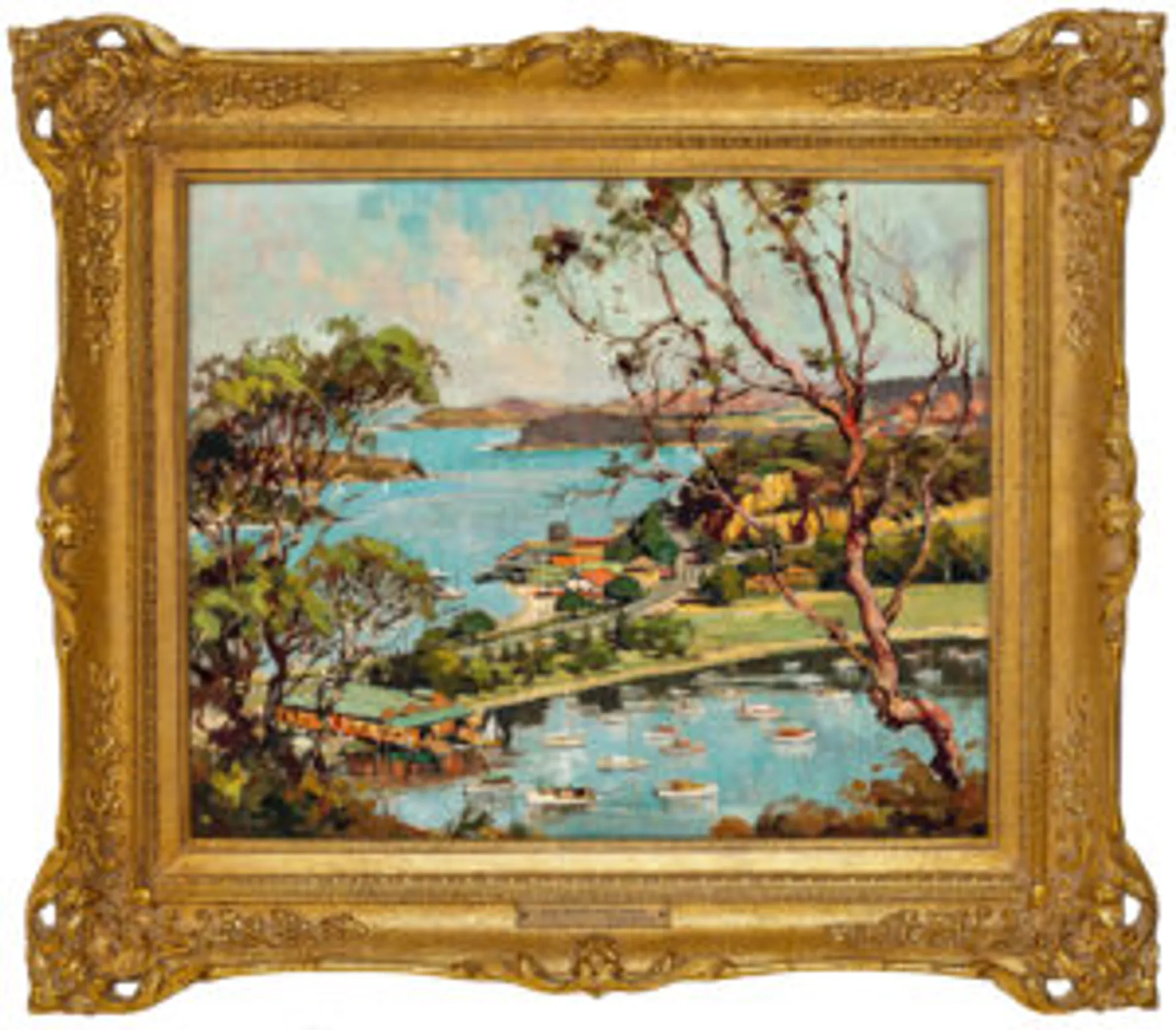 Blues waters, Middle Harbour