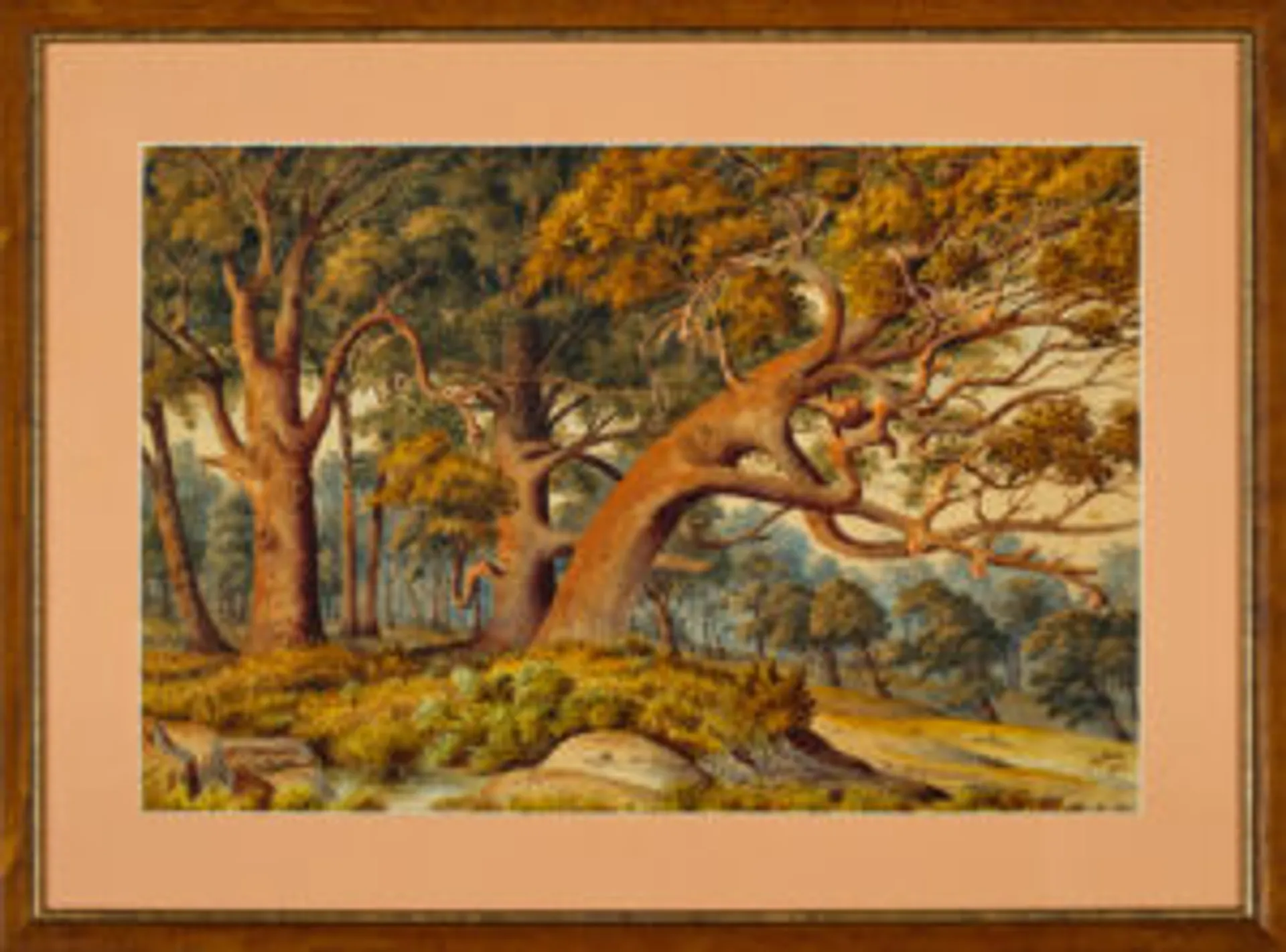 Native bush landscape