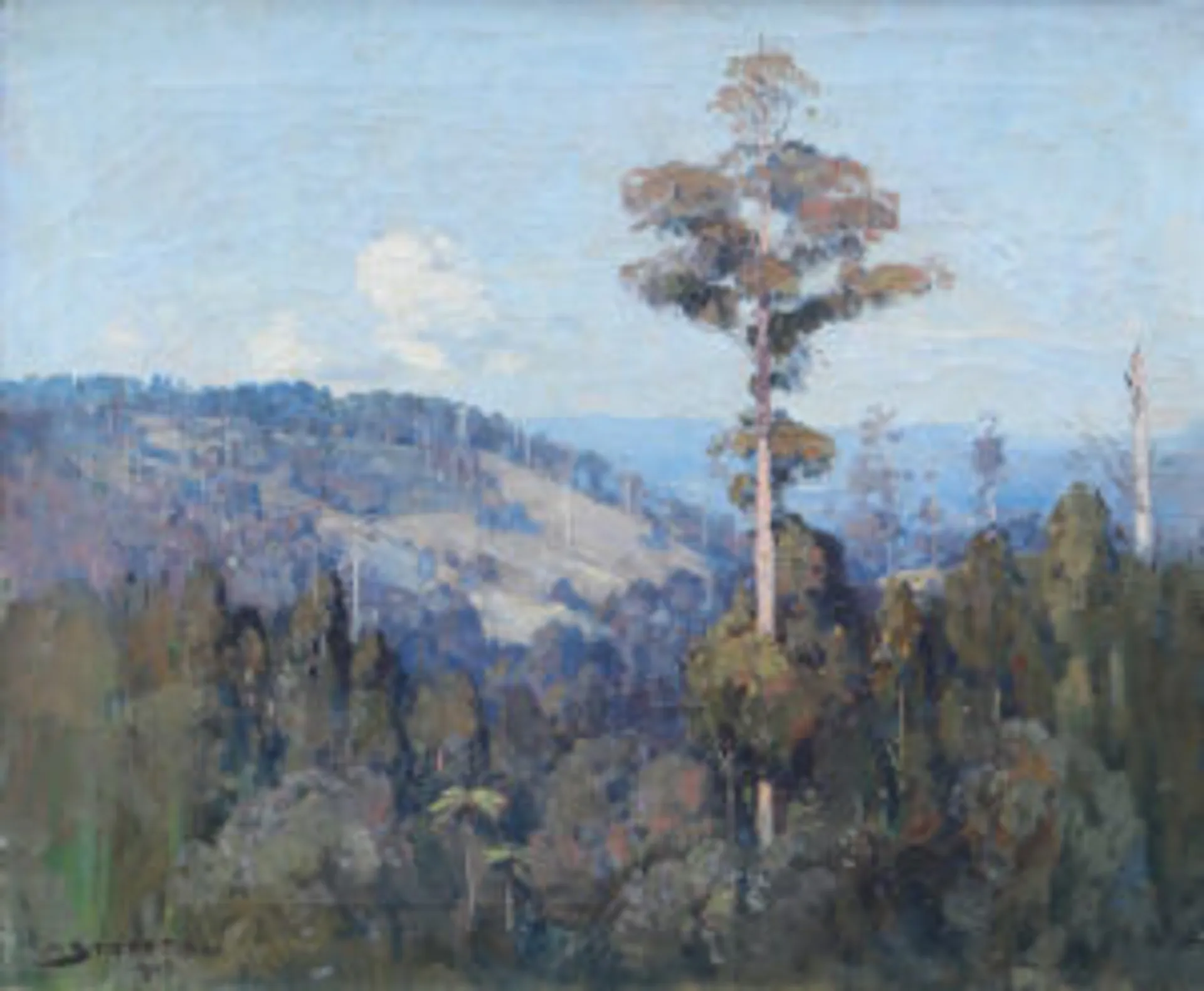Landscape