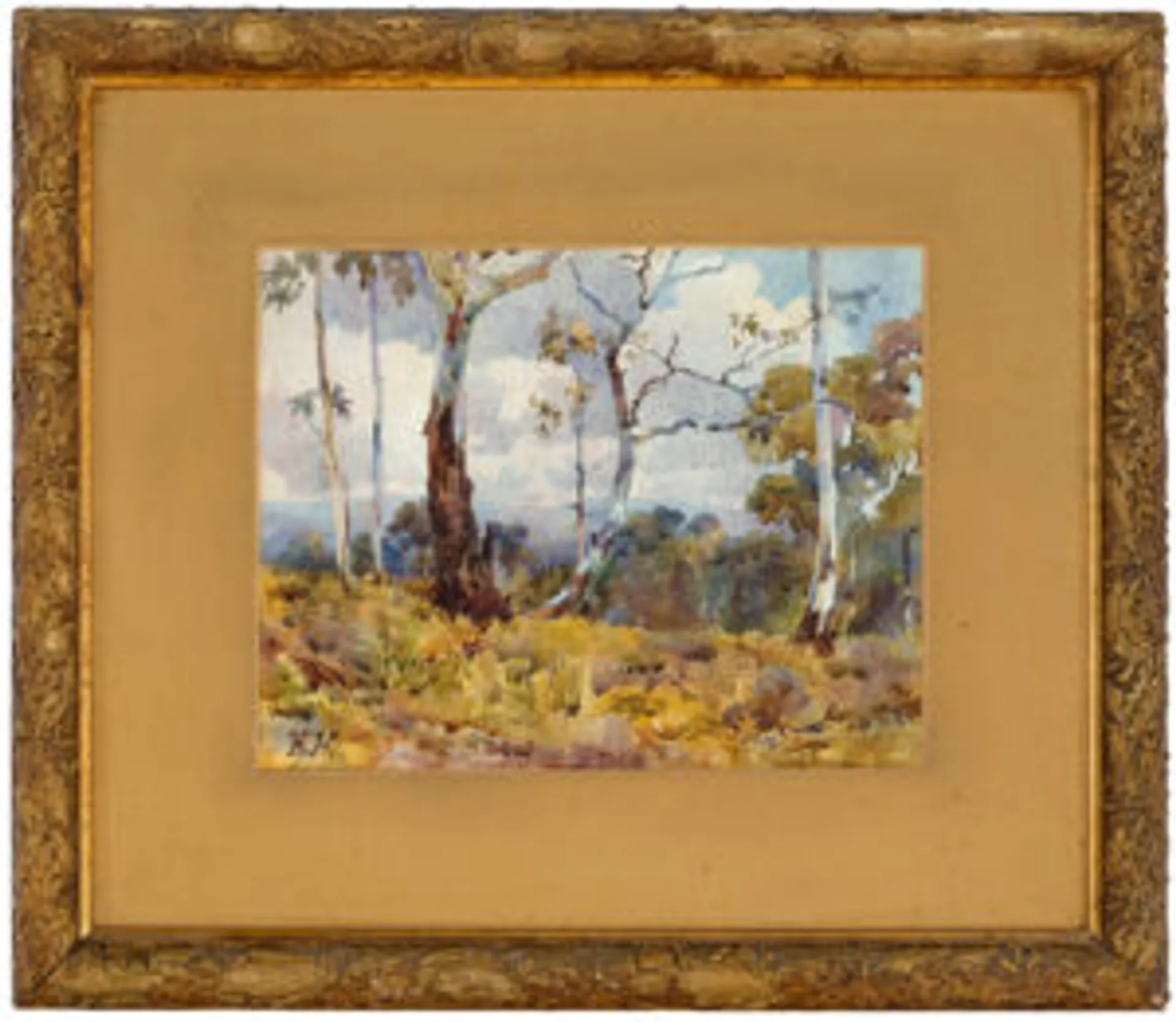 Landscape