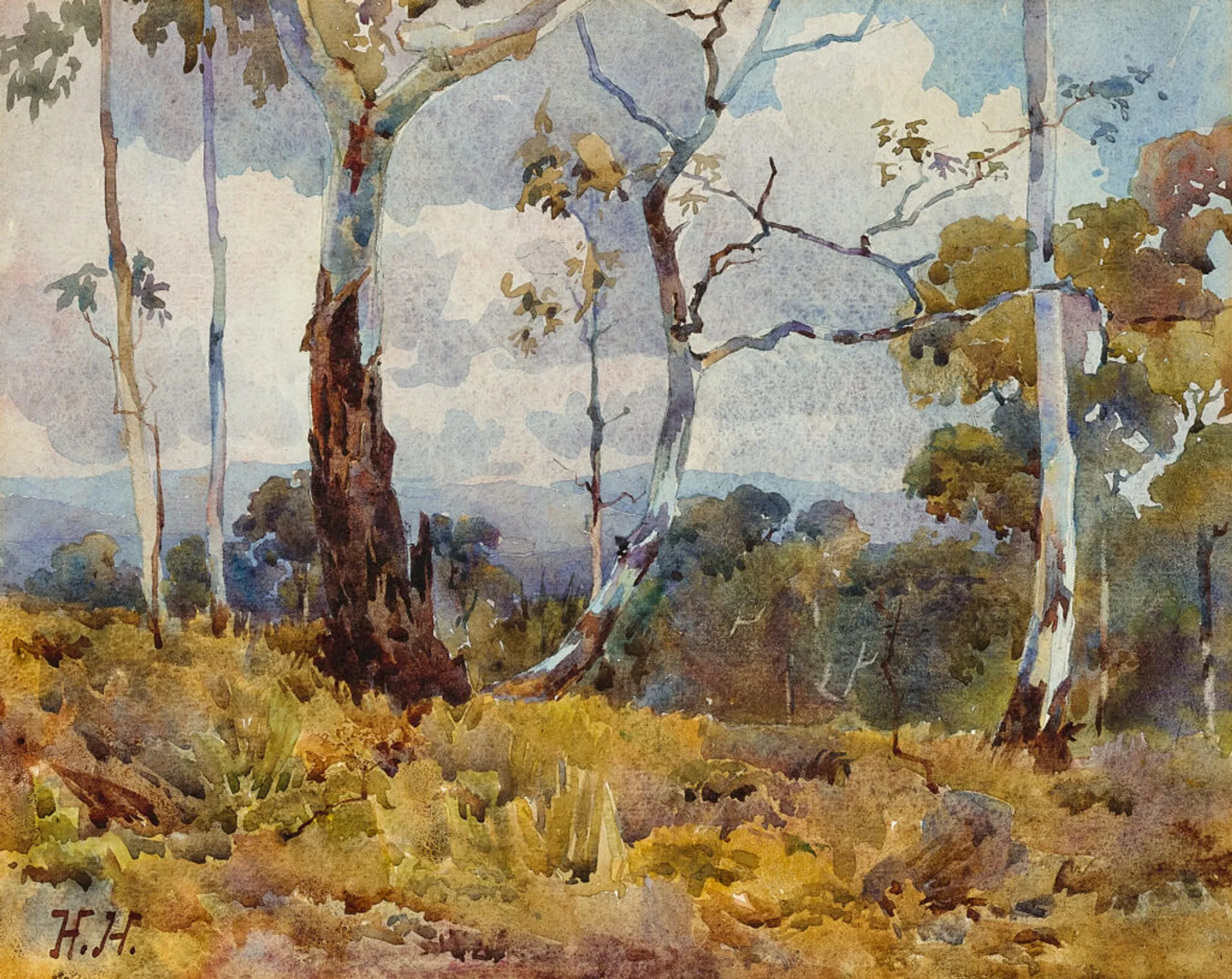 Landscape