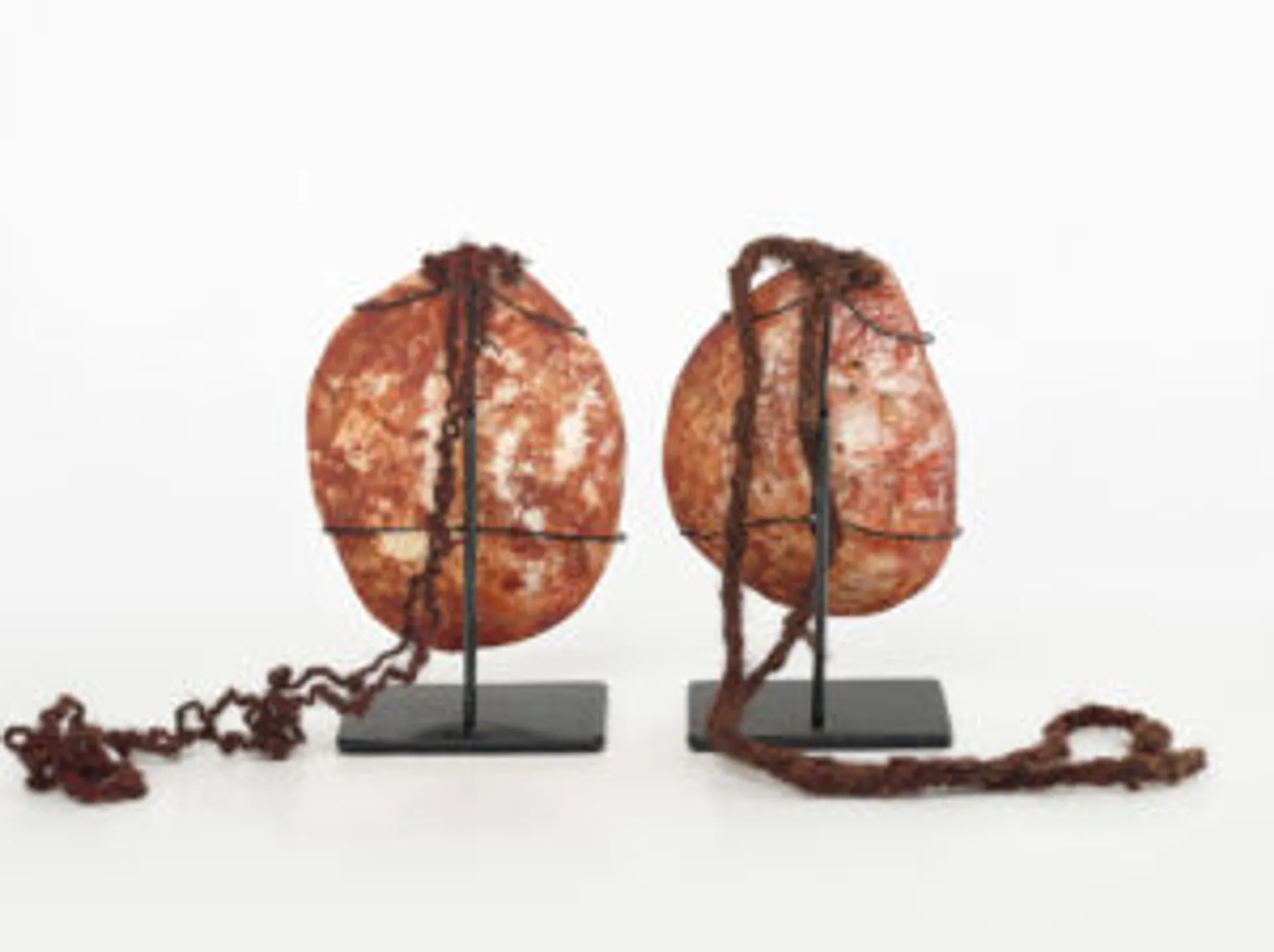 A pair of Riji (pearl shell pendants)
