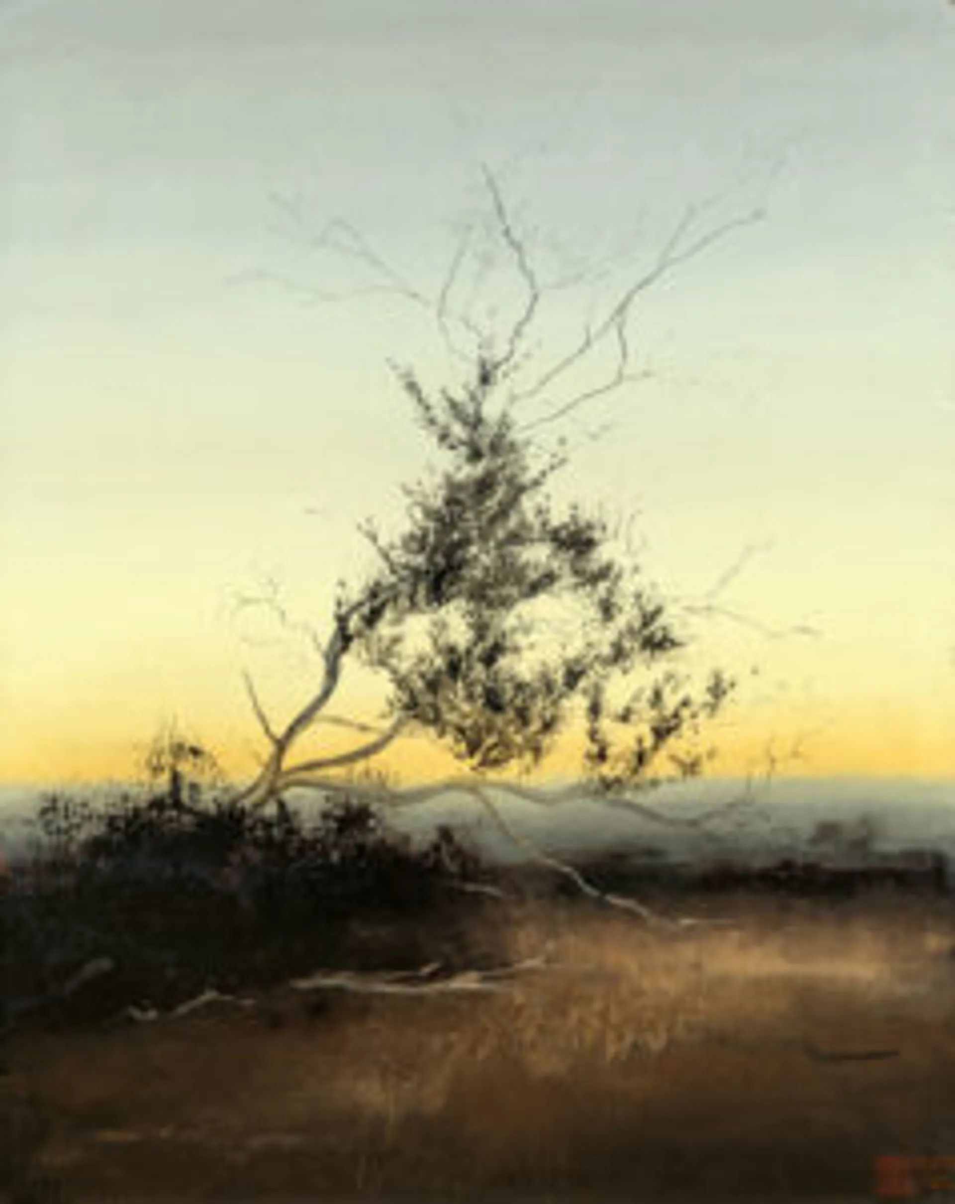 Second reverie