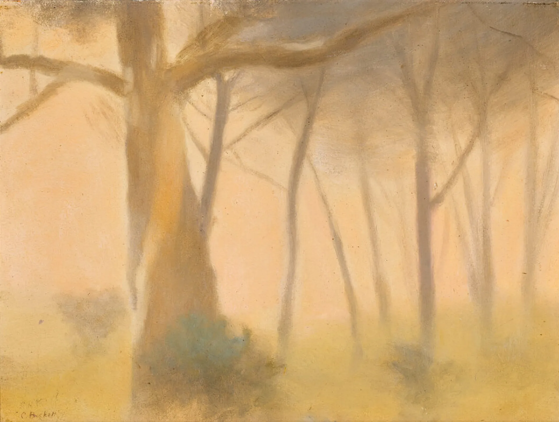 Towards evening