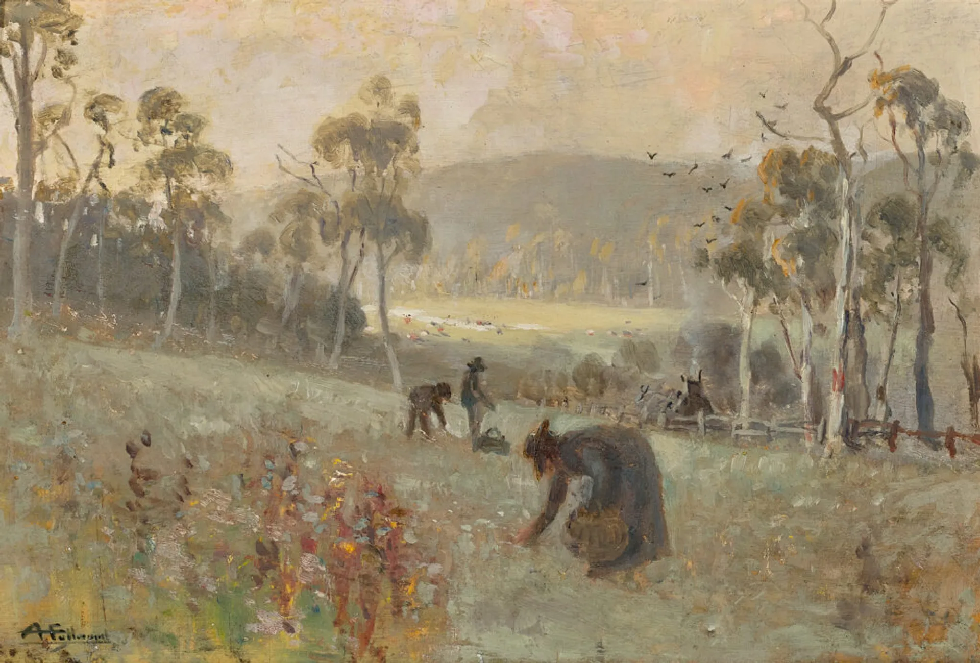Gathering mushrooms