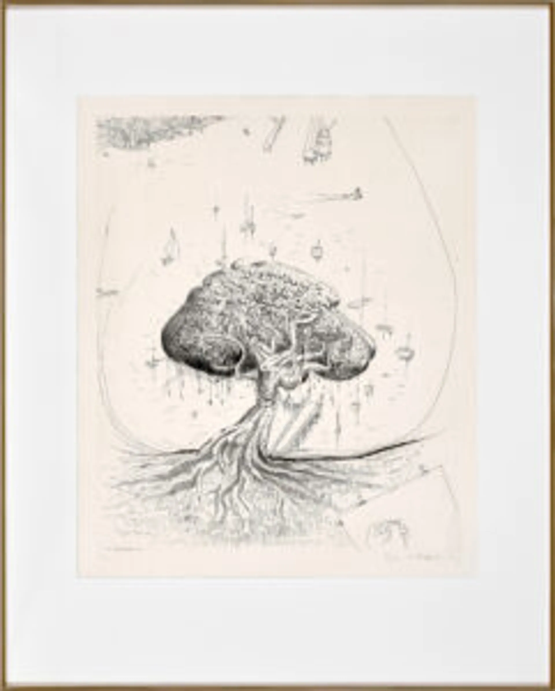 The Moreton Bay fig