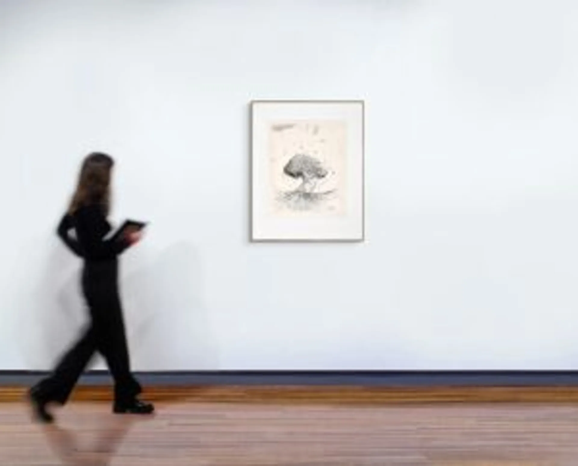 The Moreton Bay fig