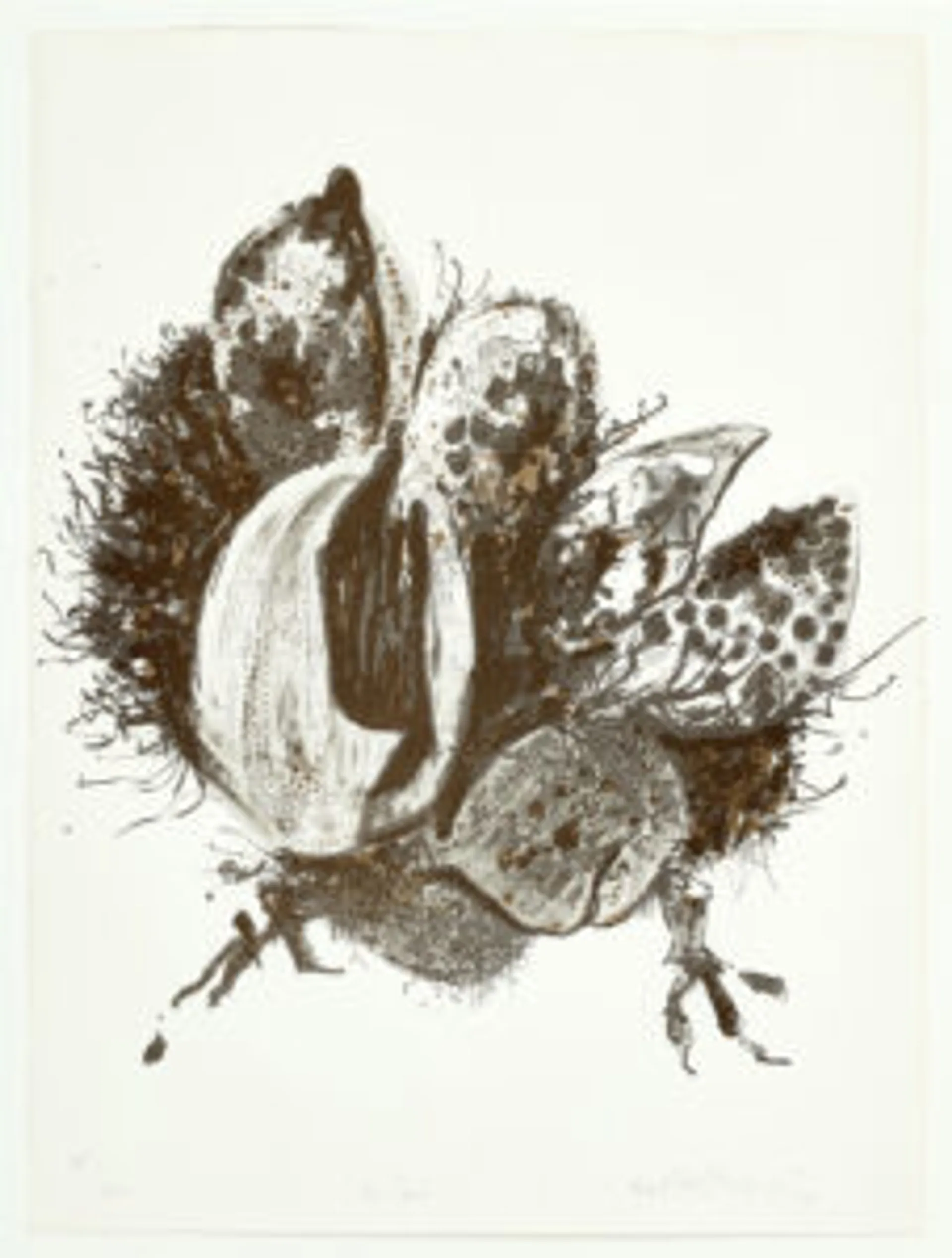BODFORD TERRACE FOLIO: 8 LITHOGRAPHS BY VARIOUS ARTISTS