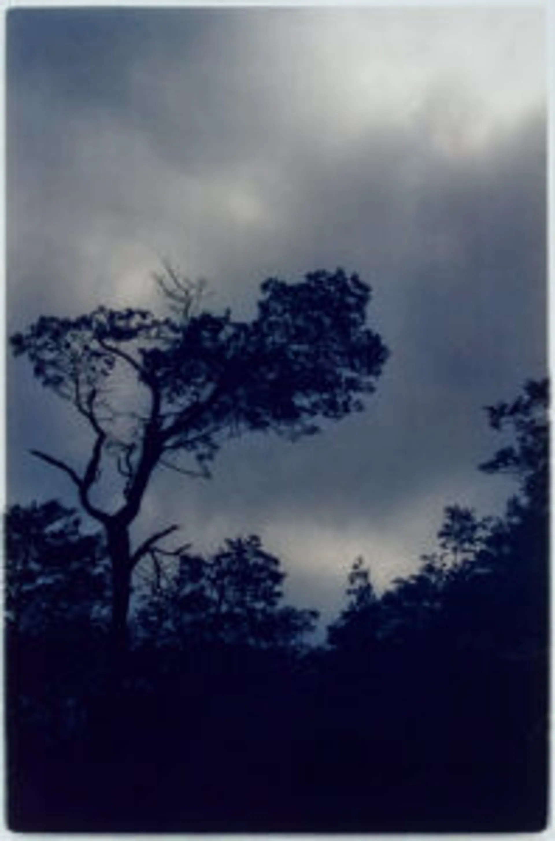 UNTITLED 1994/5 TRIPTYCH